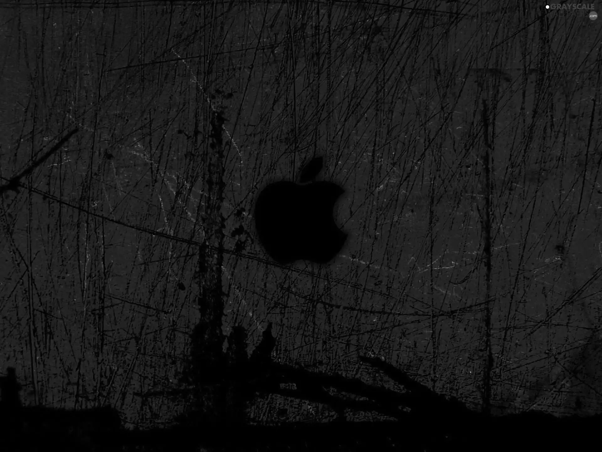 iPods, Apple, manufacturer