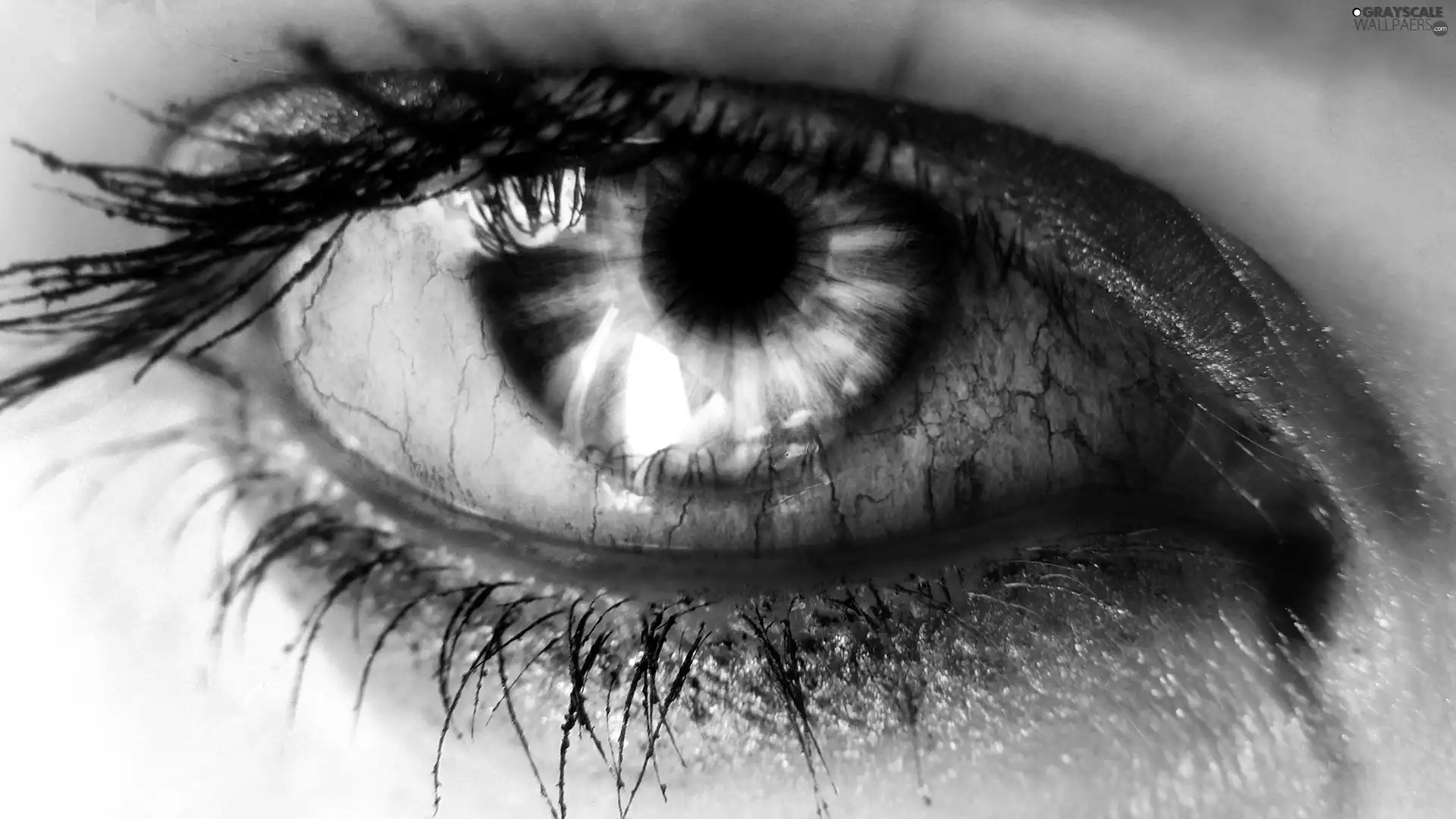 iris, blood, eye, Coloured, Women