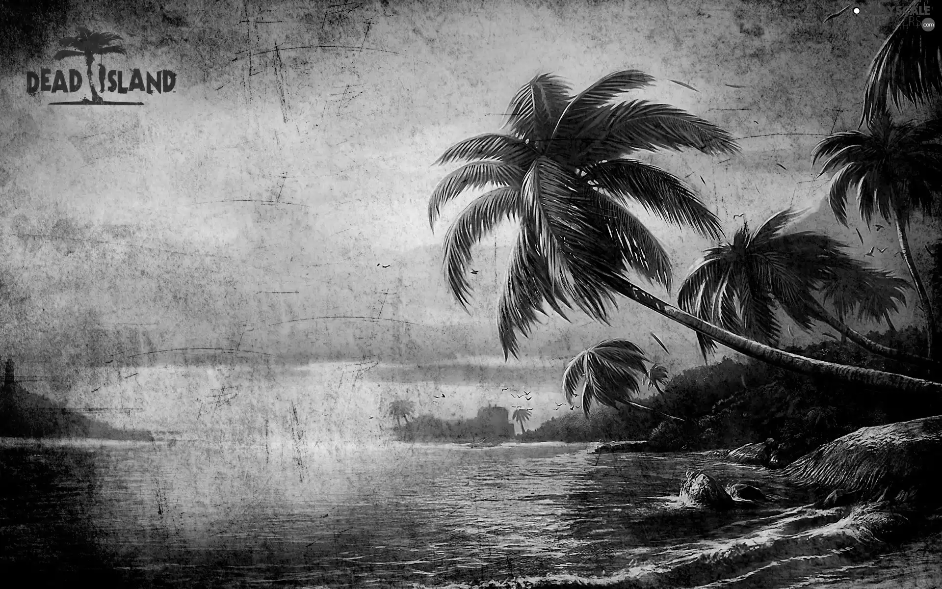 Palms, Dead Island, Island