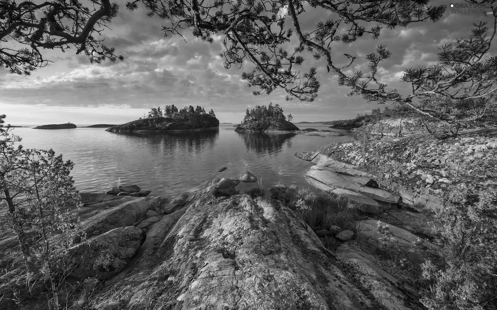 Islets, trees, Russia, viewes, Karelia, rocks, Lake Ladoga, branch pics