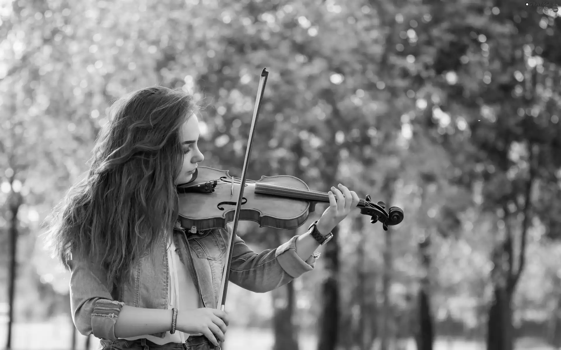 violin, Denim, viewes, Jacked, Women, trees, Park