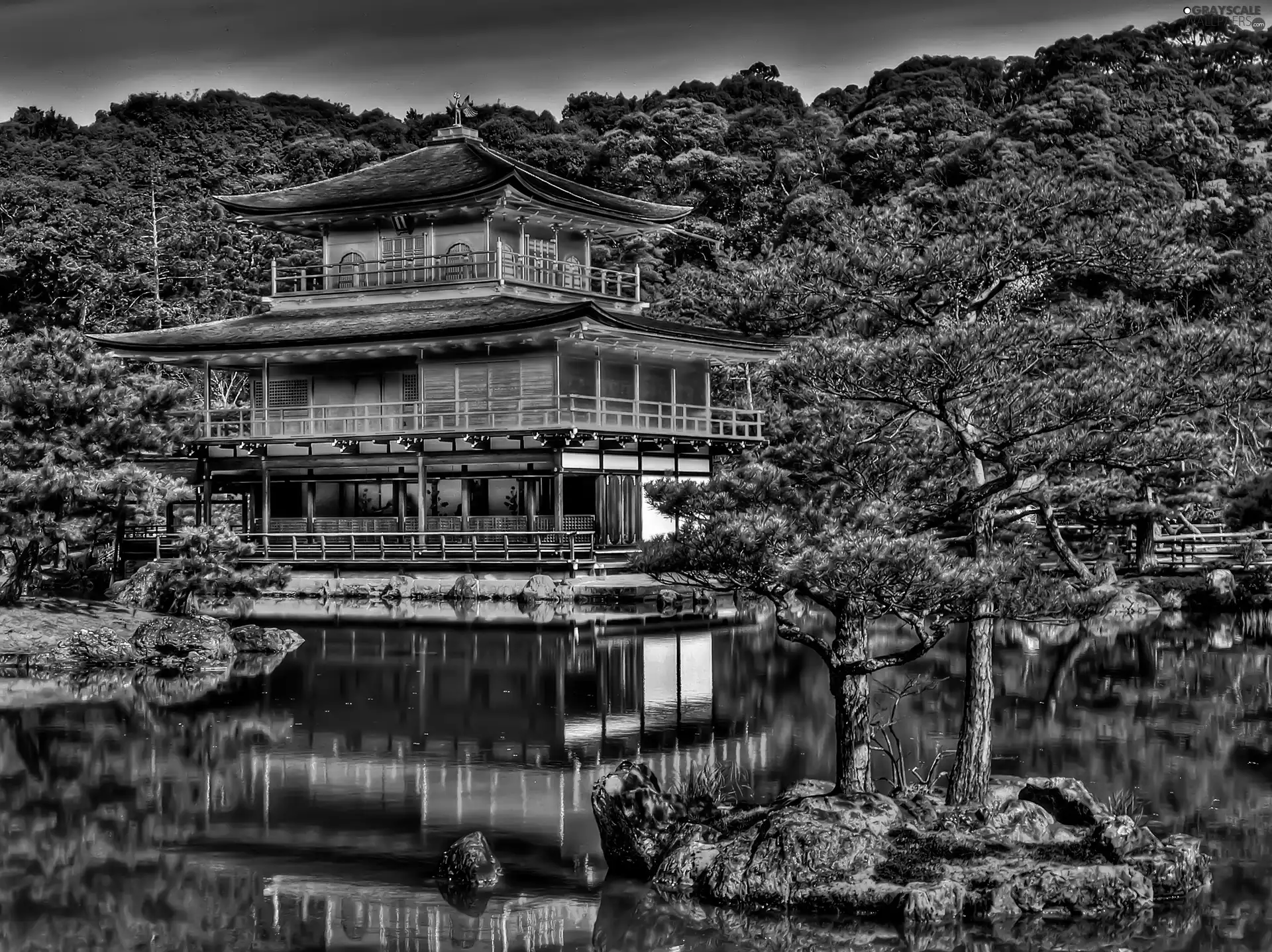 trees, lake, Japan, viewes