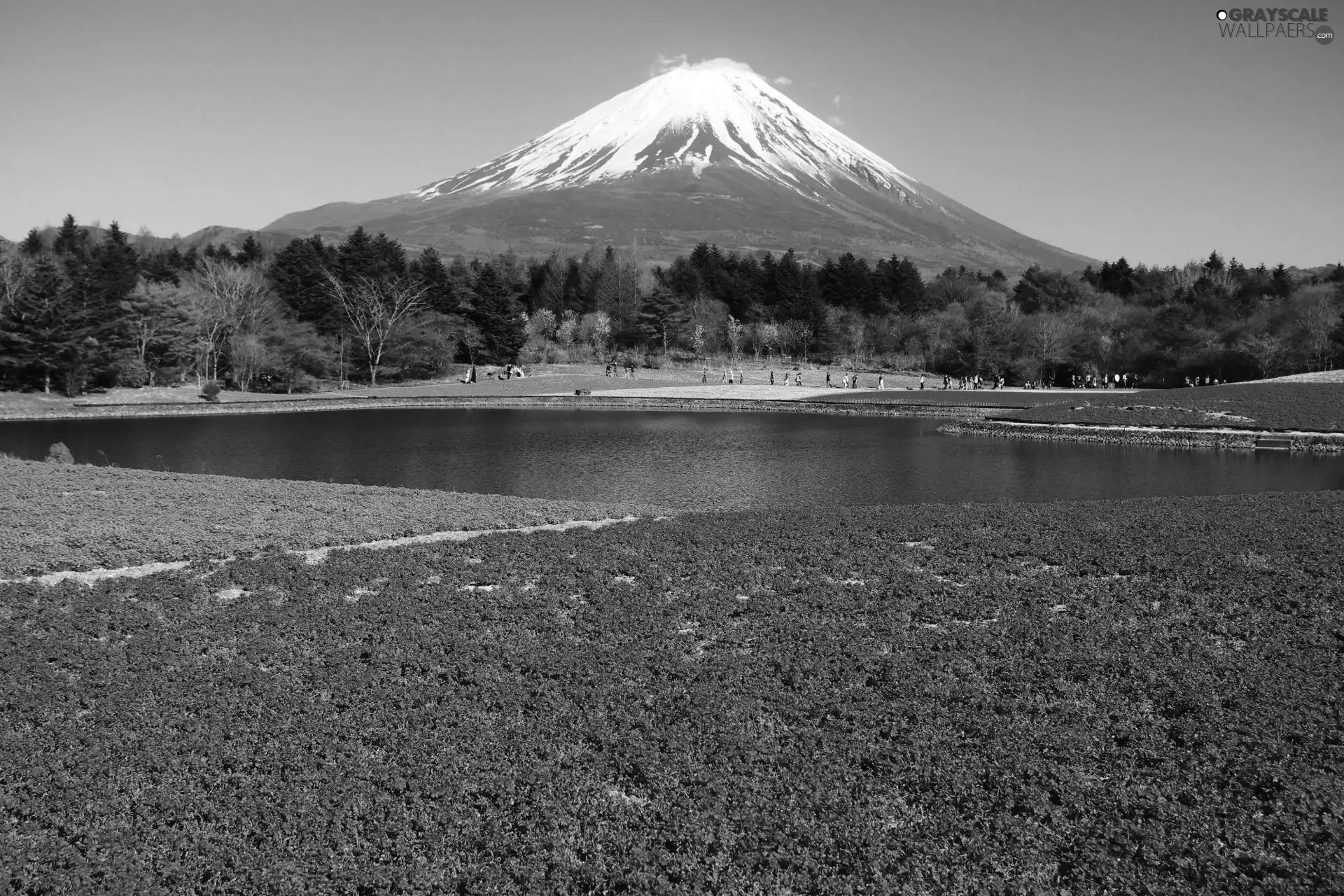 volcano, floral, Japan, carpet