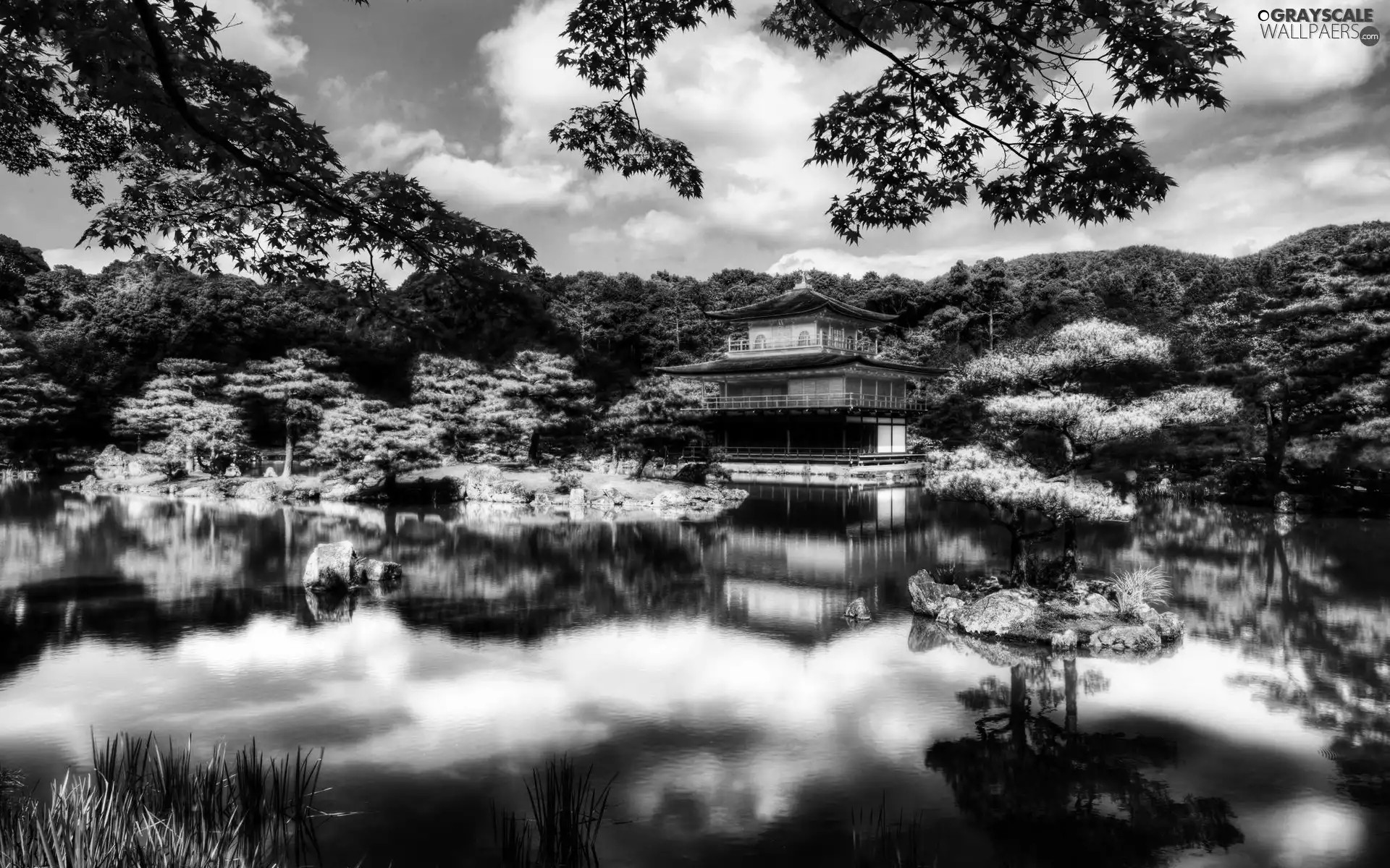 water, forest, Japan, house