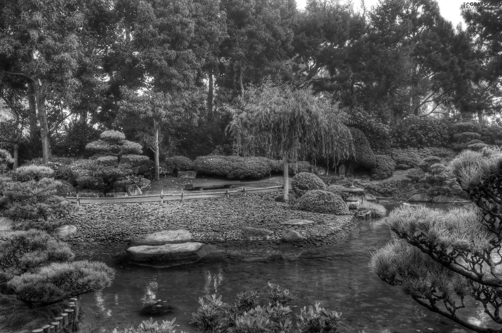 Garden, japanese