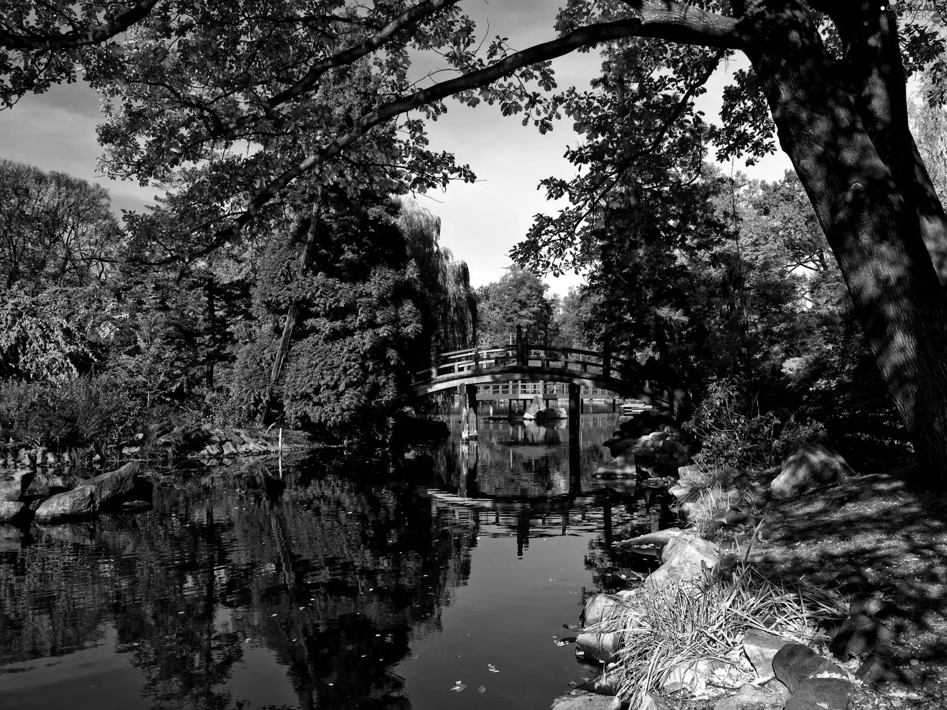 bridges, Garden, japanese, Pond - car