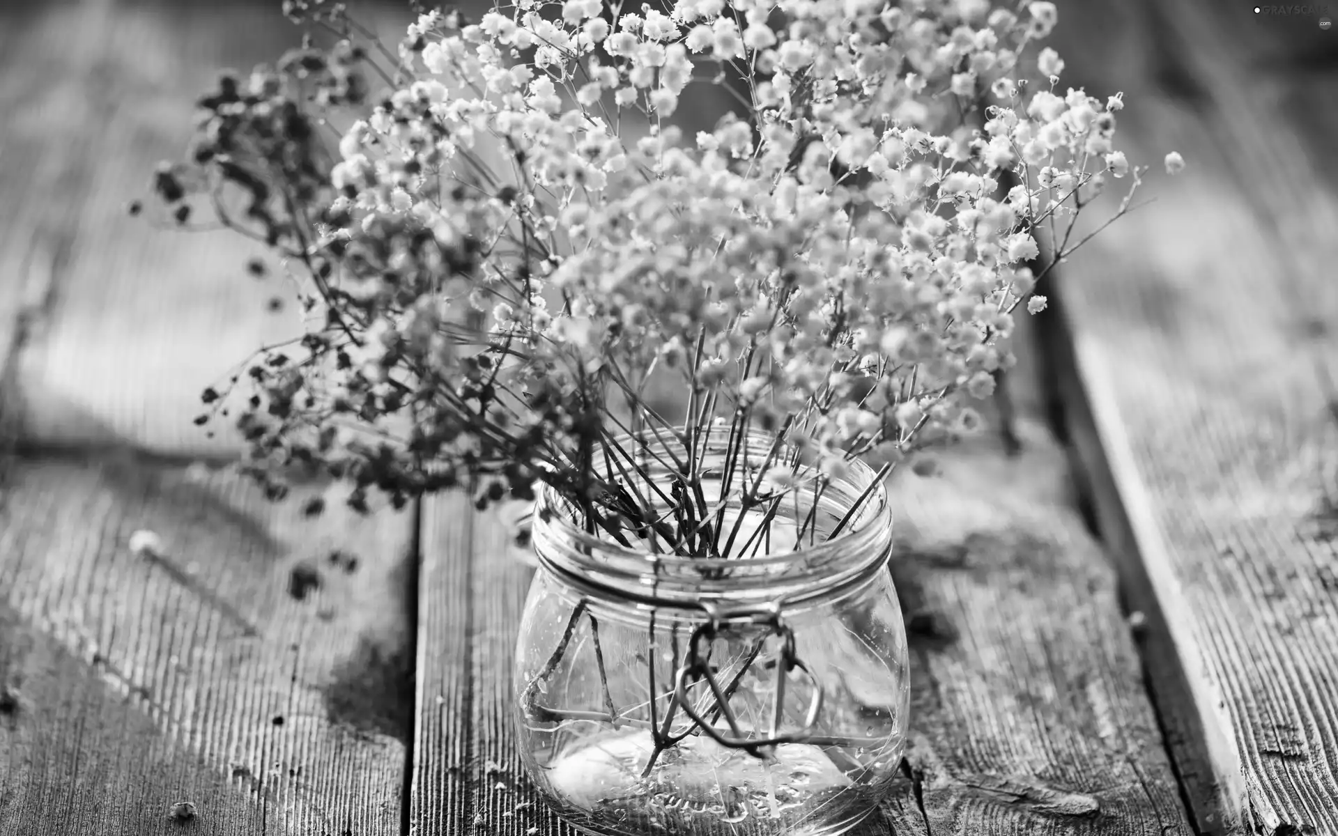 bouquet, flowers, jar, Dry