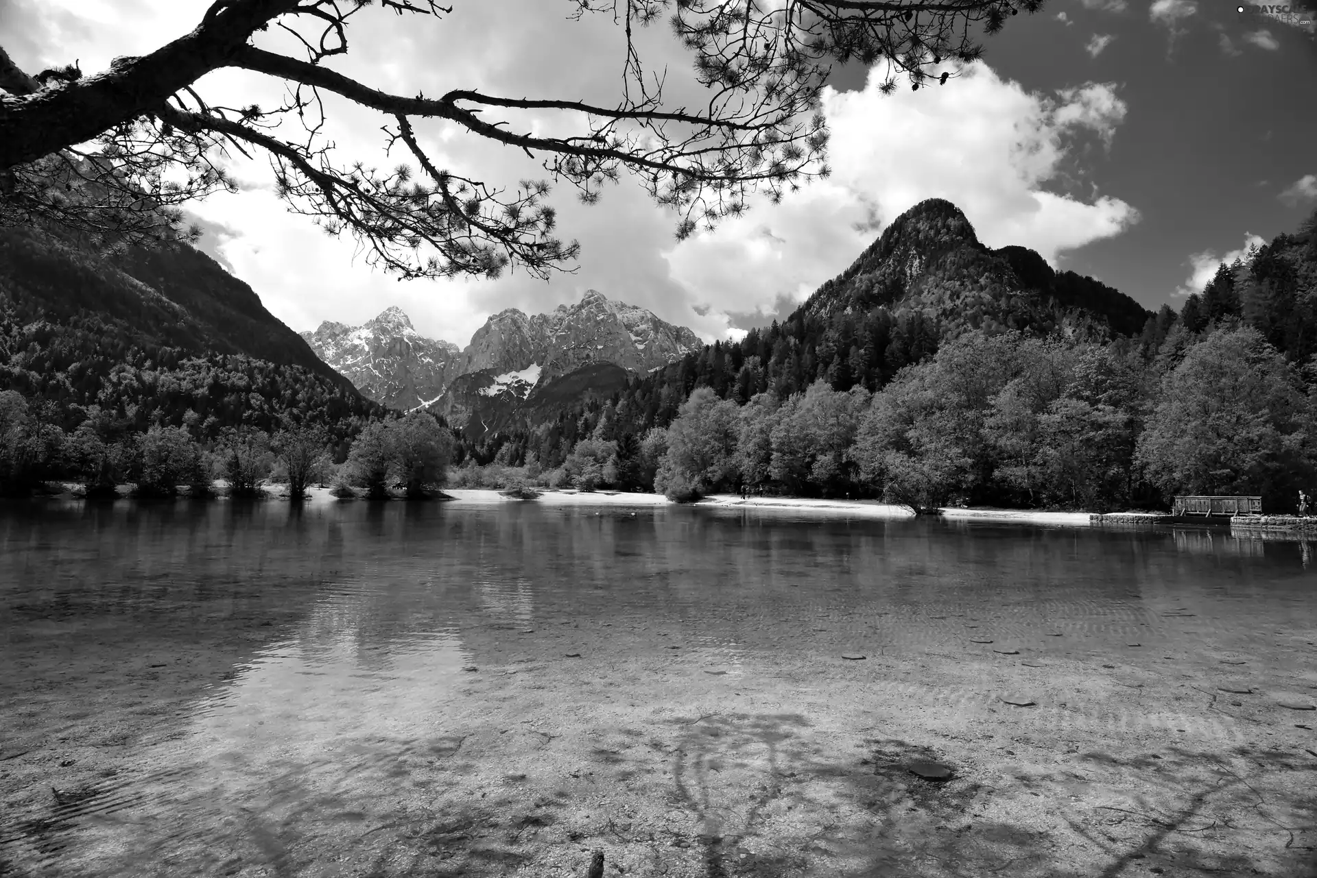 Jasna Gora, Slovenia, forest, lake, Mountains