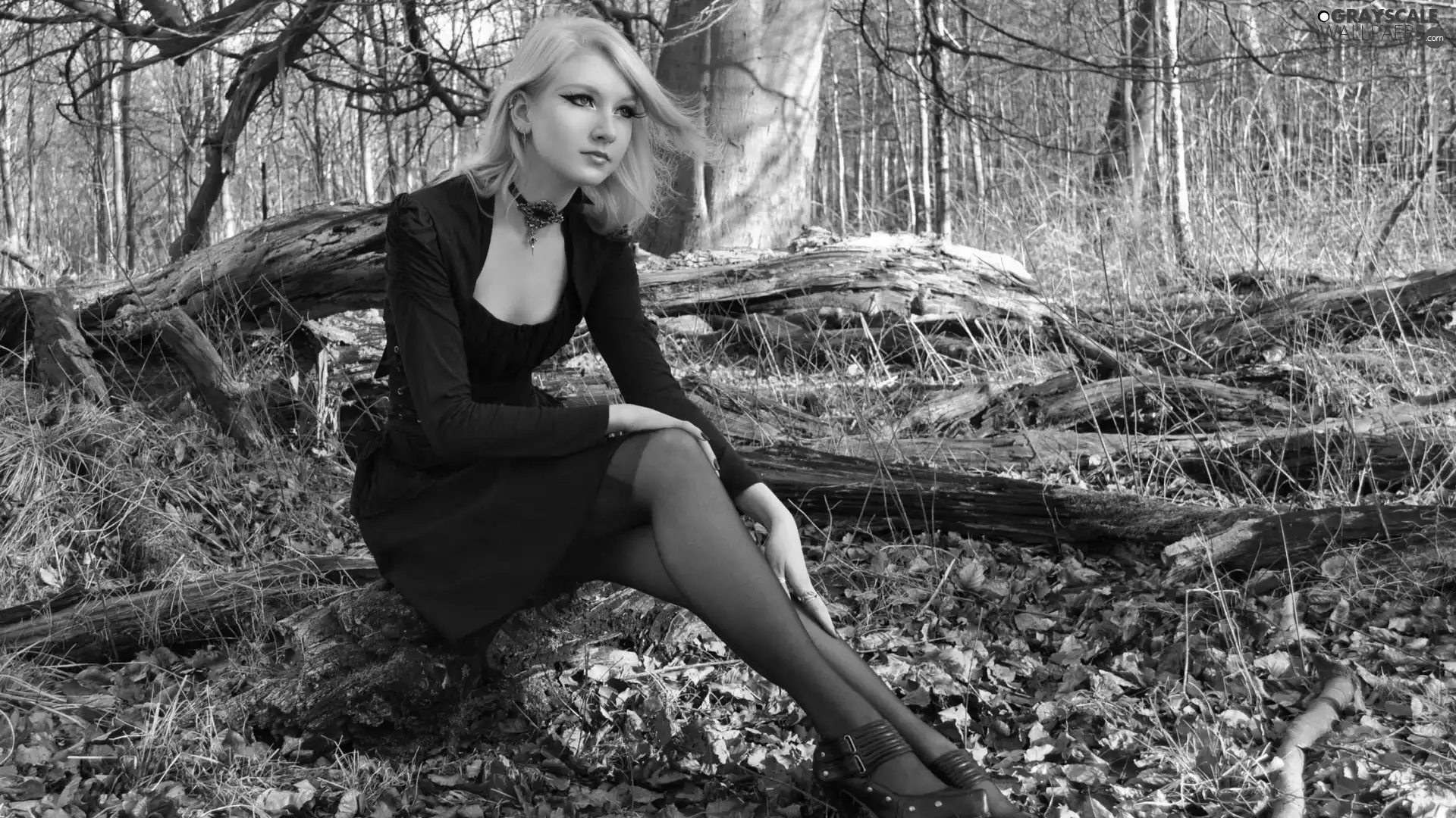 jewellery, Blonde, Leaf, autumn, forest, make-up
