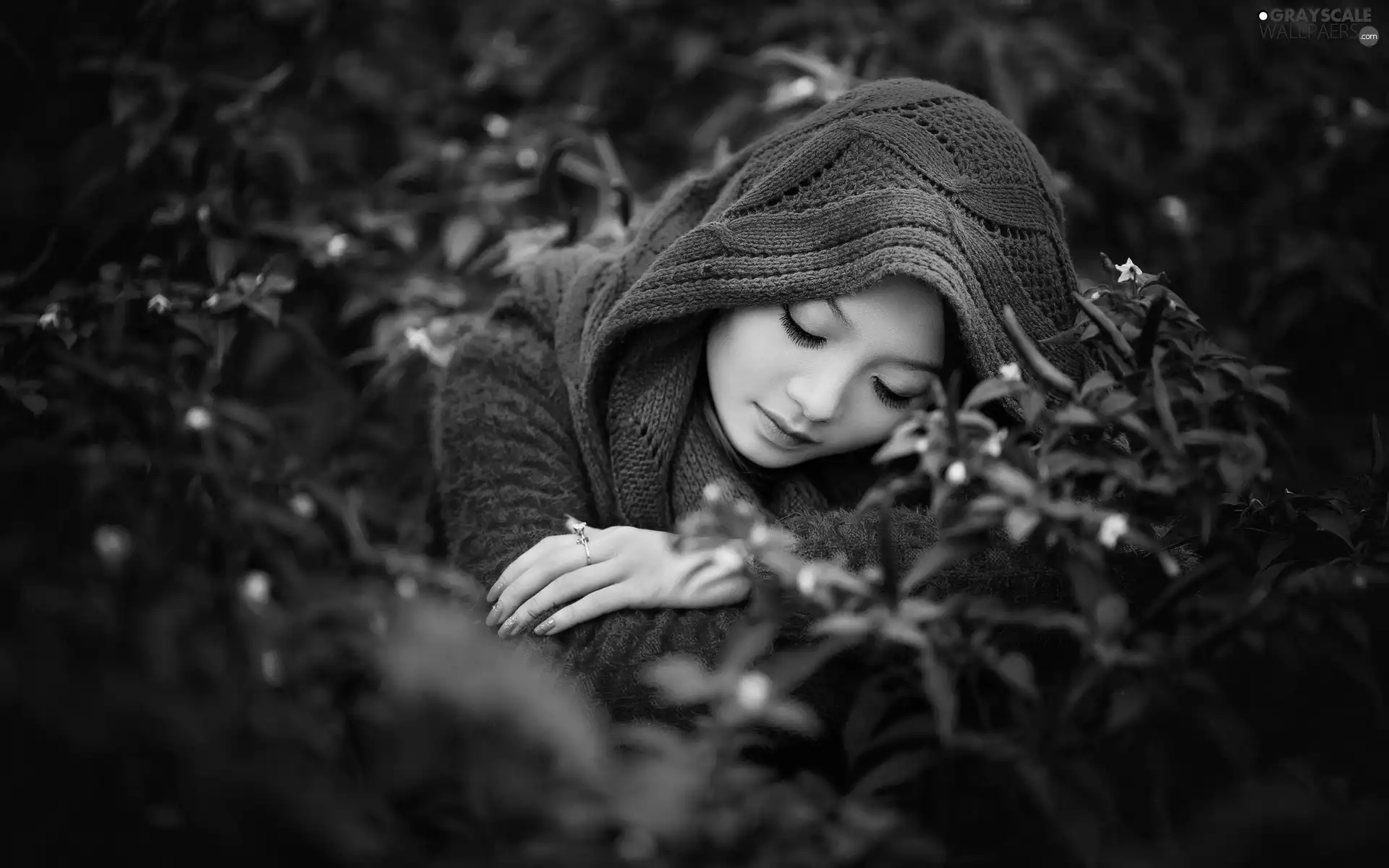 make-up, girl, flower, shawl, sad, jewellery, Bush