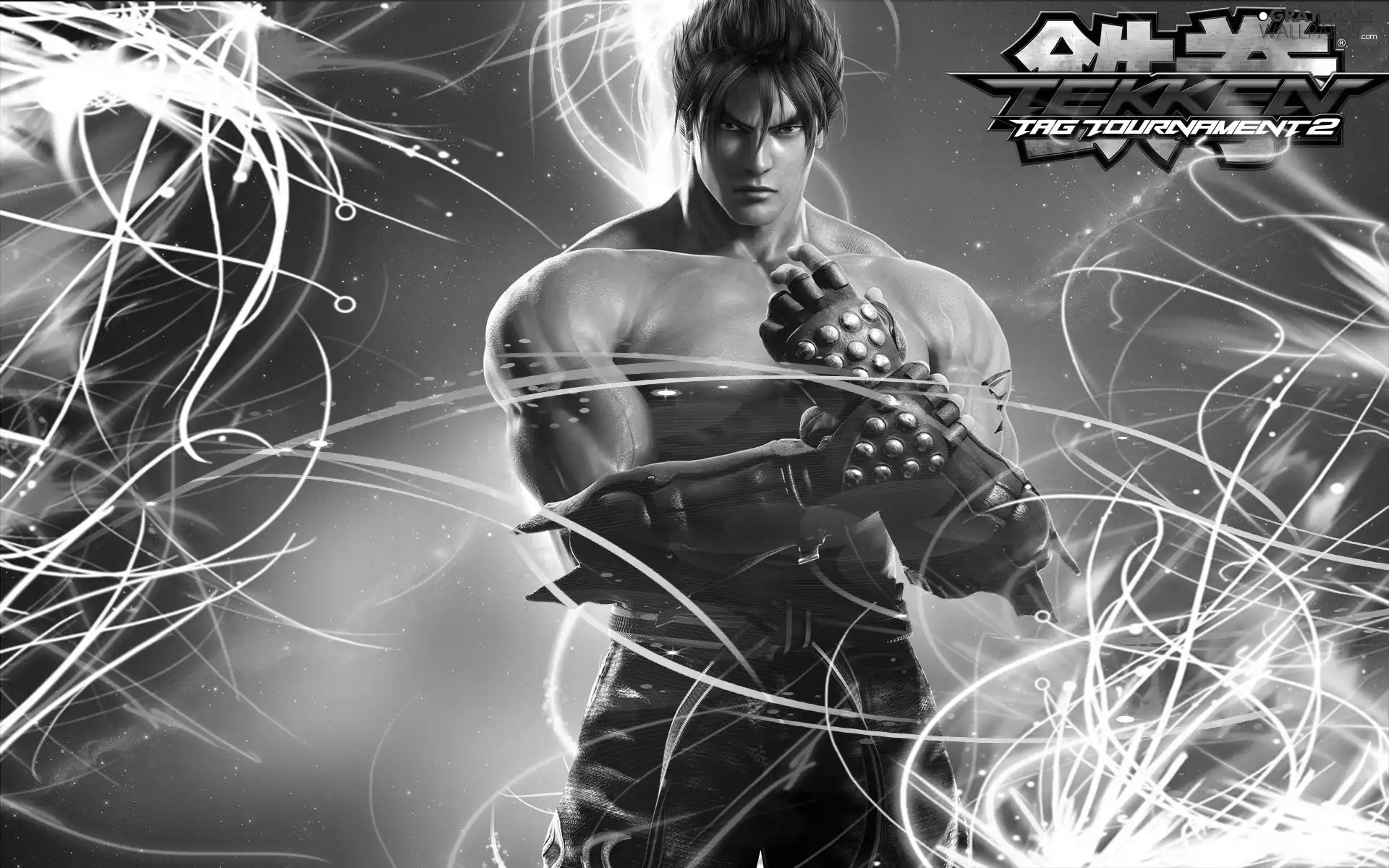 Tekken Tag Tournament 2, Jin Kazama