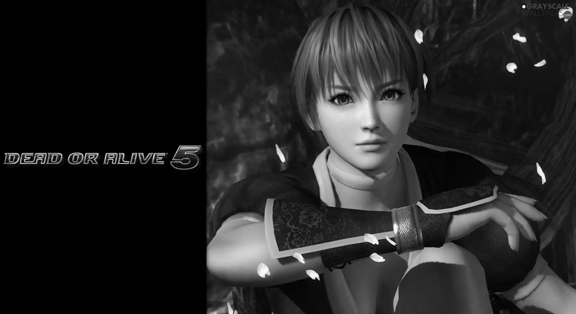 Dead Of Alive 5, Kasumi
