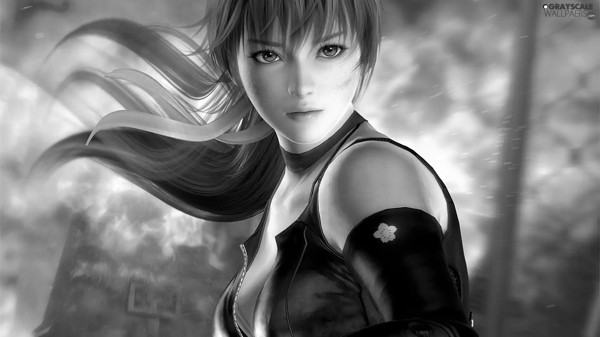 Dead Or Alive 5, Kasumi