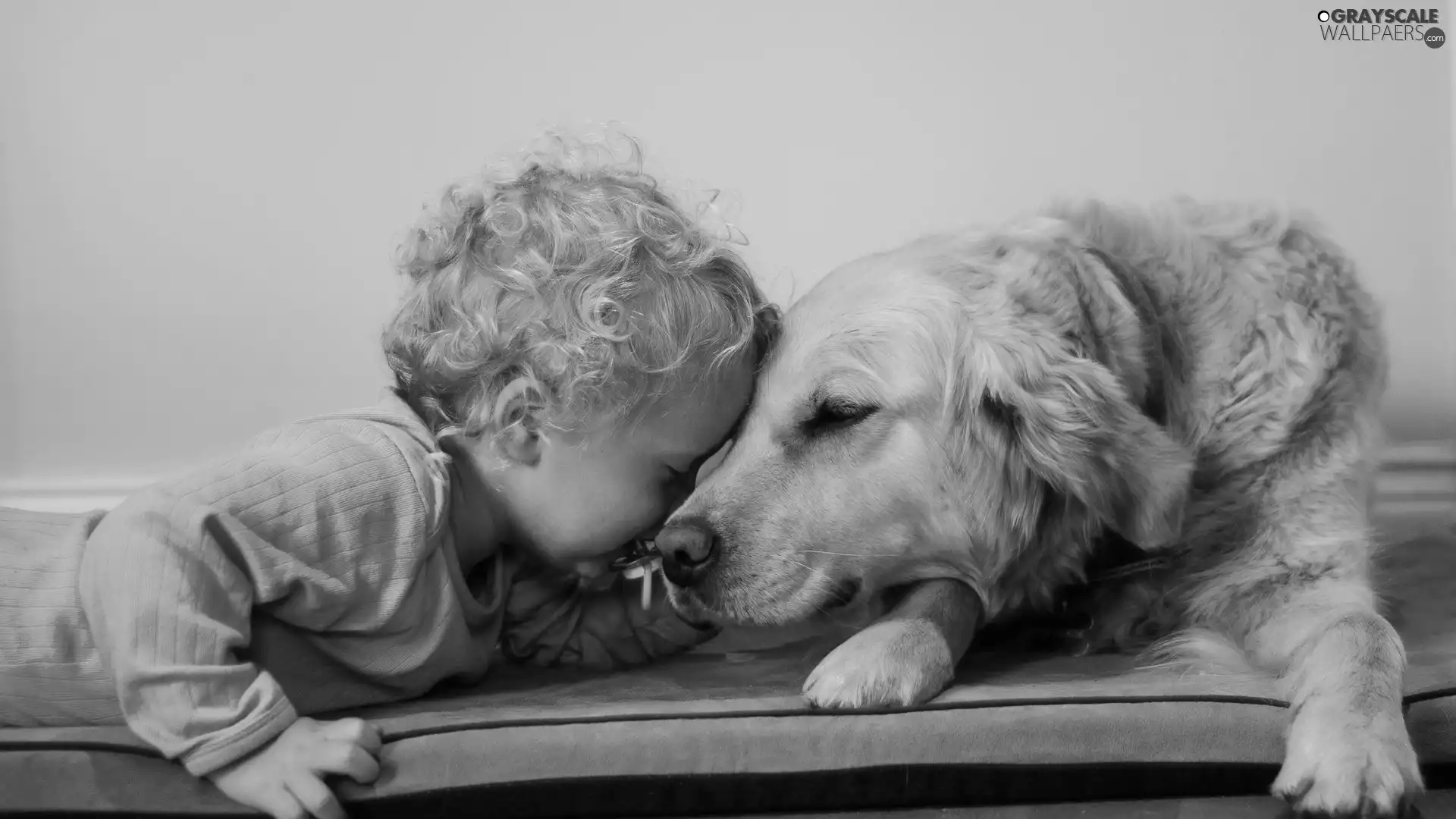 little doggies, doggy, Golden Retriever, Kid