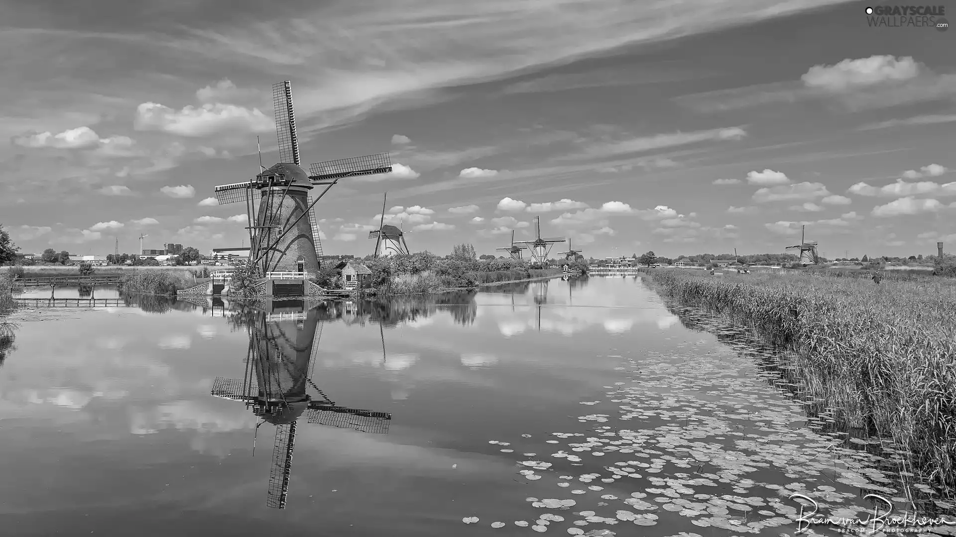 grass, Netherlands, River, Kinderdijk Village, Windmills