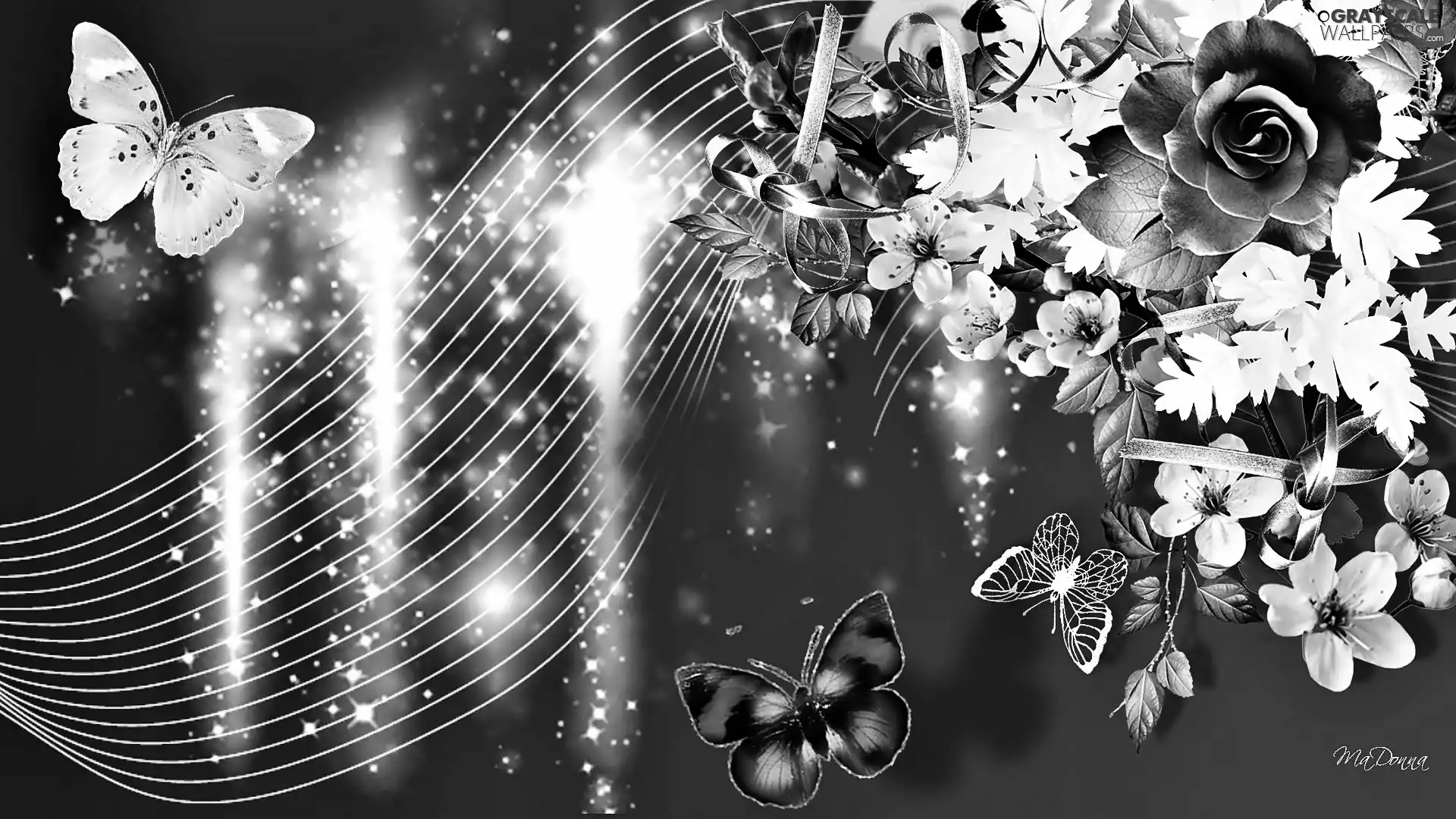 butterflies, 2D Graphics, Flowers, kirsch, rose