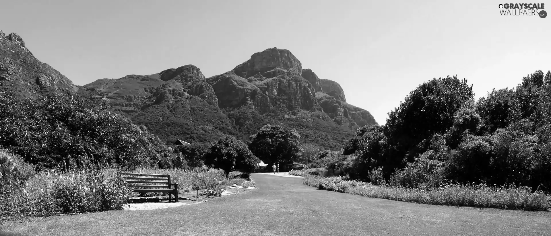 mountains, Park, Kirstenbosch, table