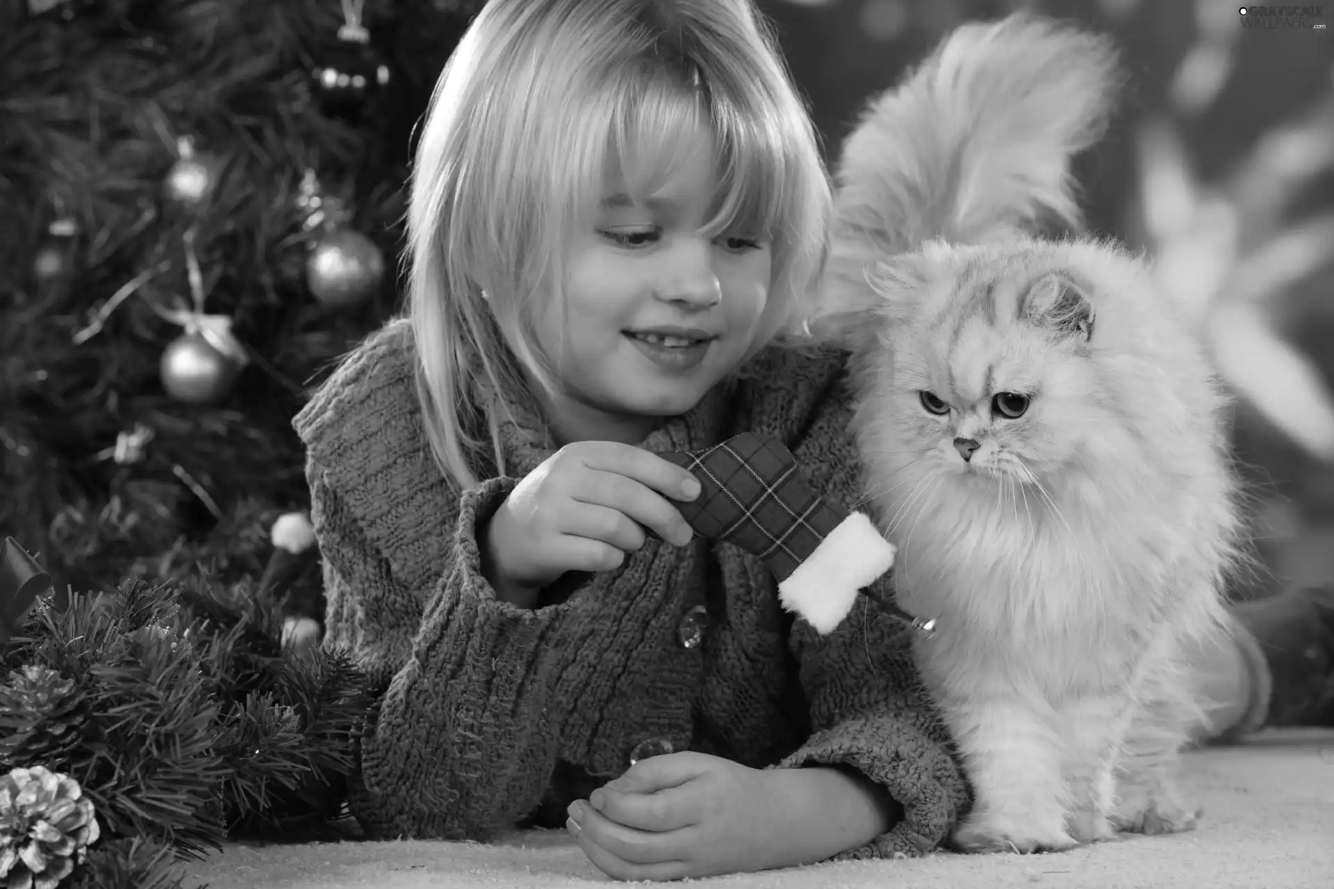 christmas tree, girl, kitten