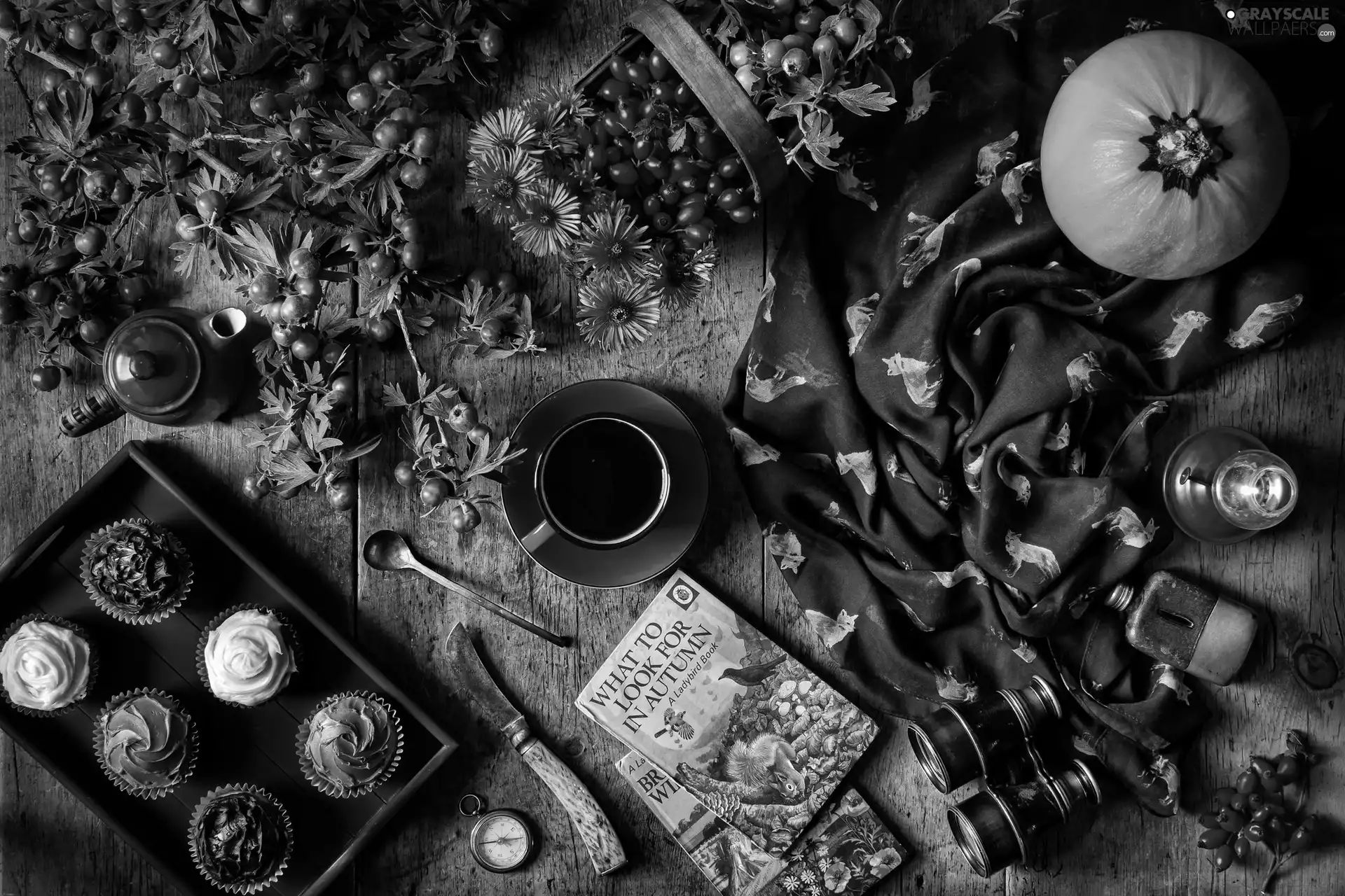 Book, teapot, Muffins, binoculars, service, pumpkin, composition, knife