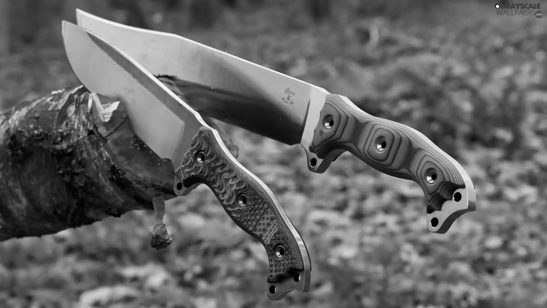 Wood, Two cars, knives