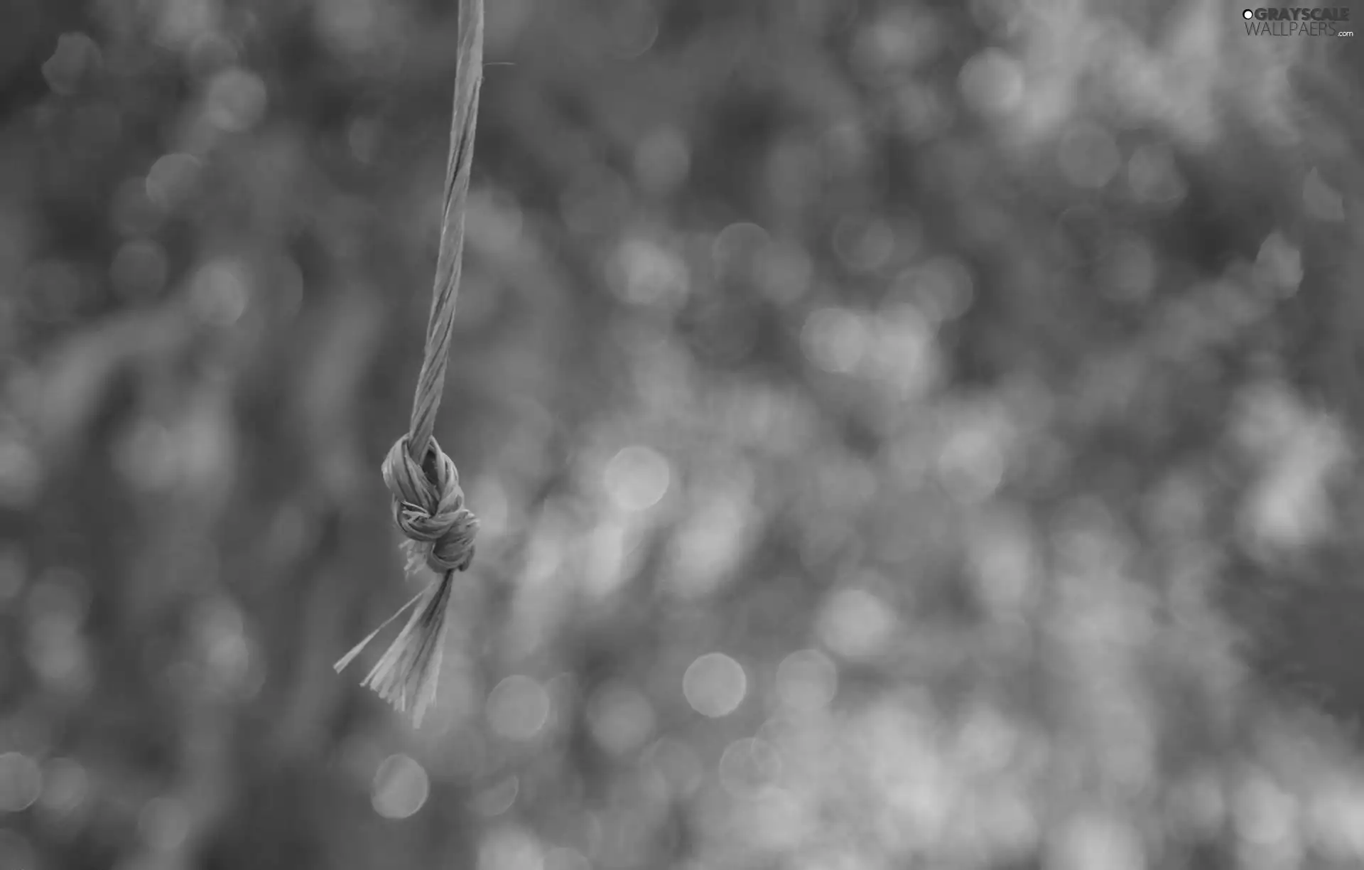 string, knot