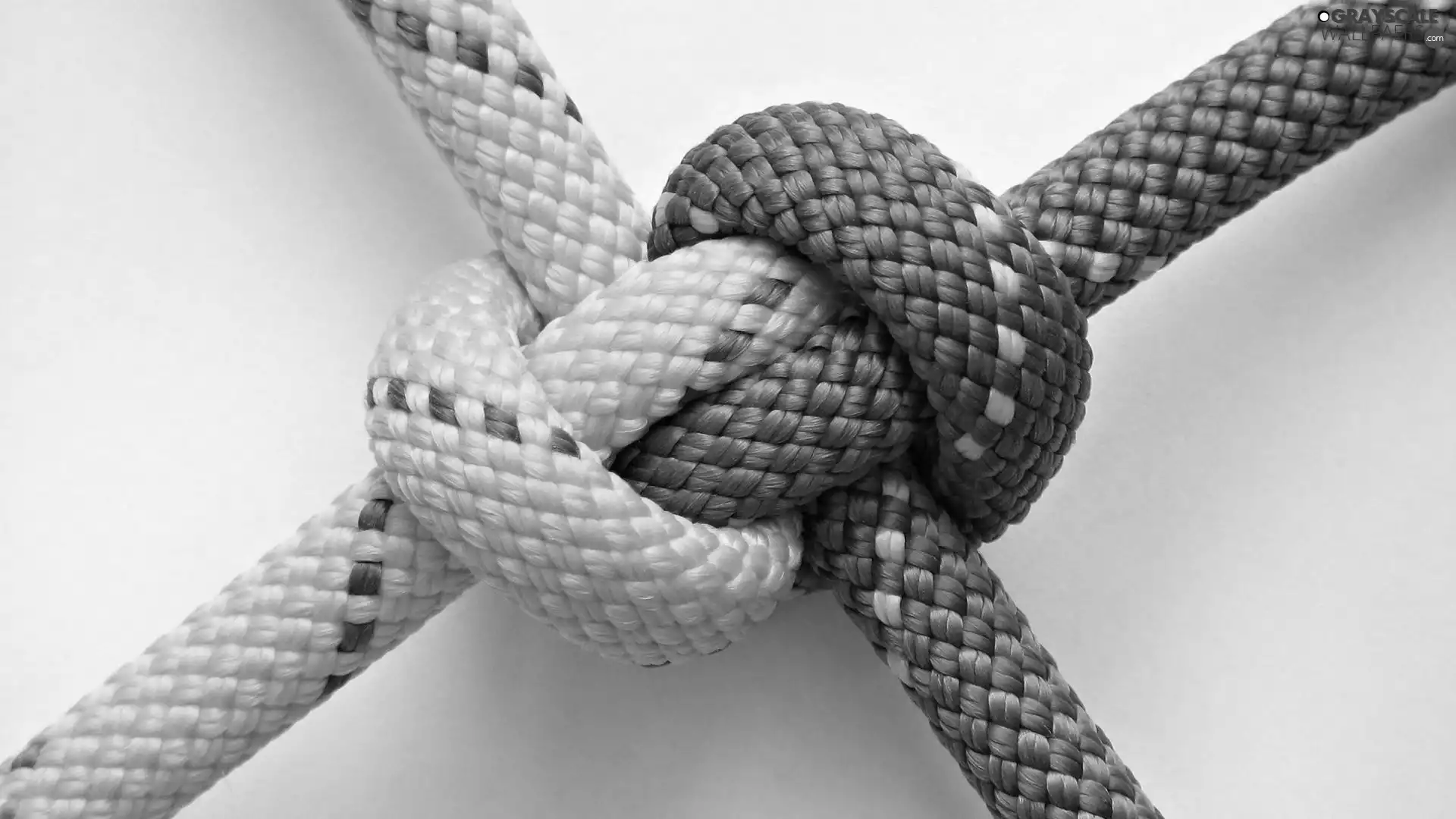 string, knot