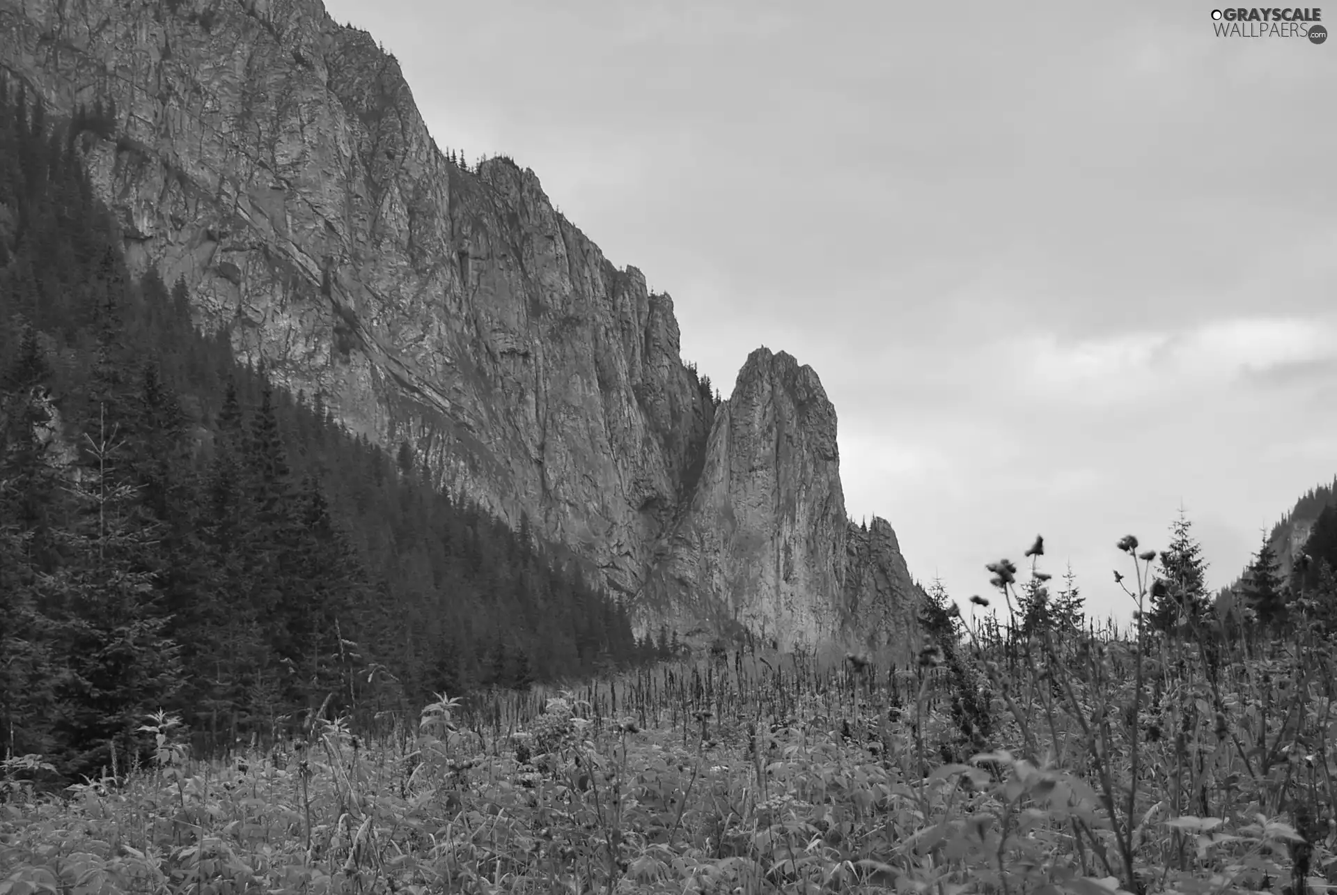 peaks, Tatras, Koscieliska Valley