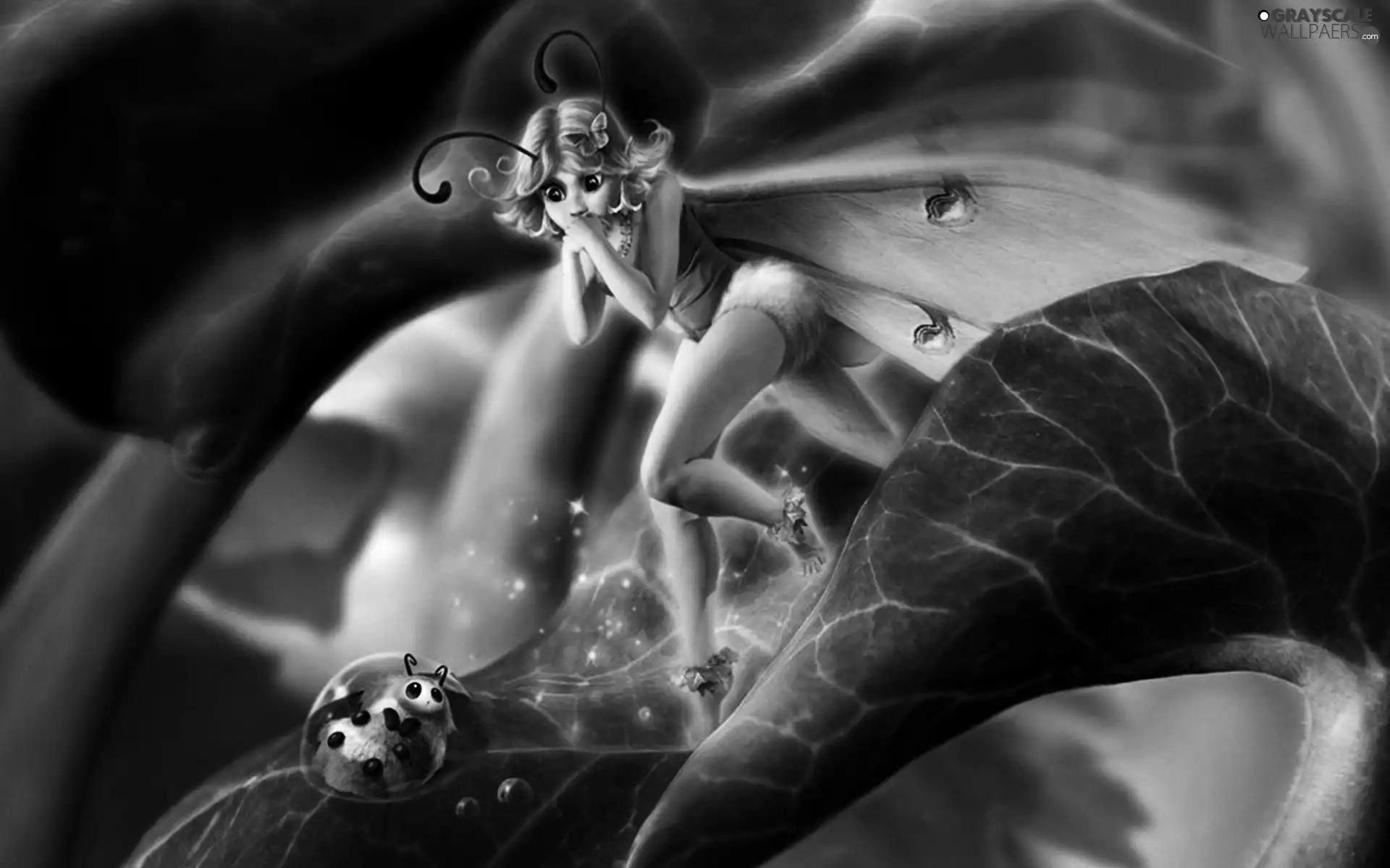 ladybird, fairy, leaf