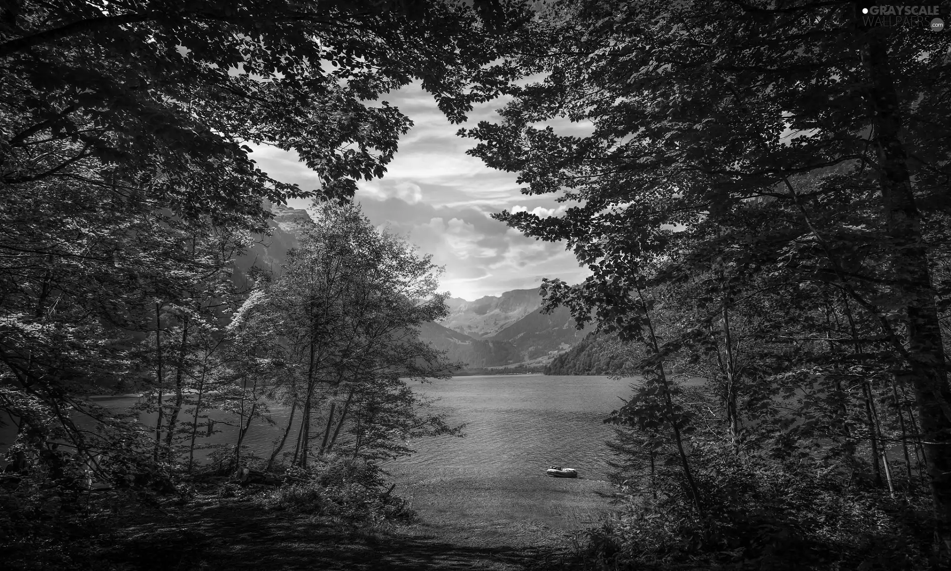 Canton of Glarus, Switzerland, Alps Mountains, Klöntalersee Lake, viewes, point, forest, trees, Sunrise