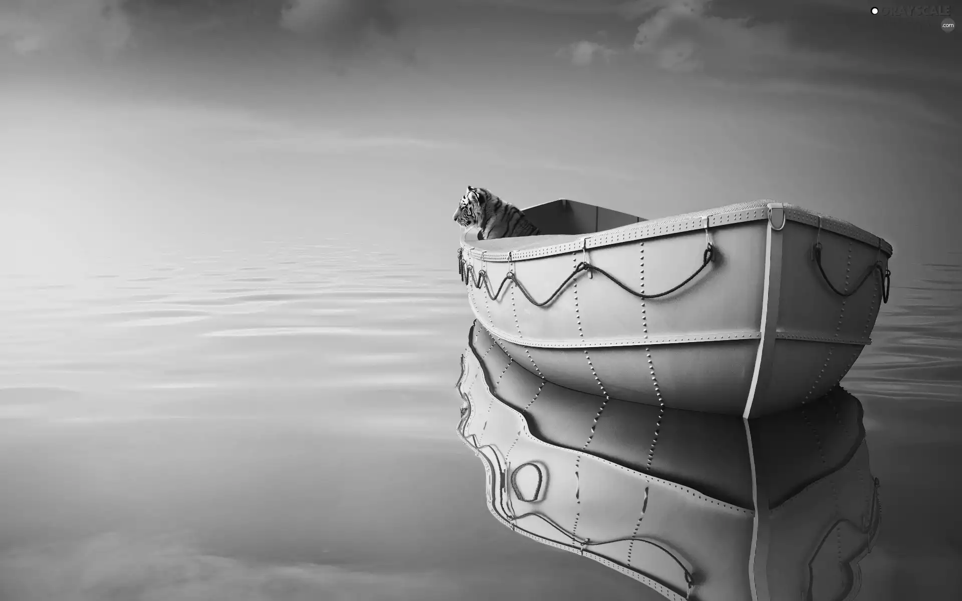 lake, tiger, Boat