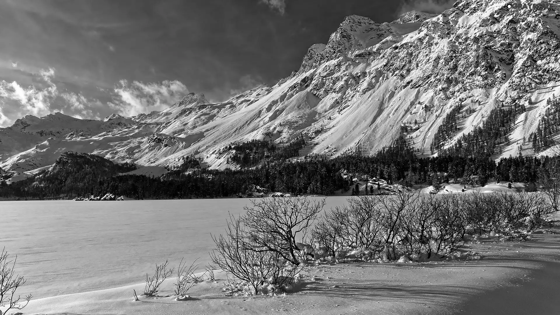 Lake Silsersee, Mountains, Canton Graubunden, Swiss Alps, Snowy, Bush, Switzerland
