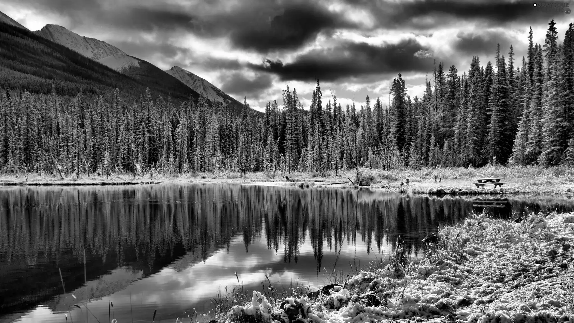 clouds, forest, lake, Mountains