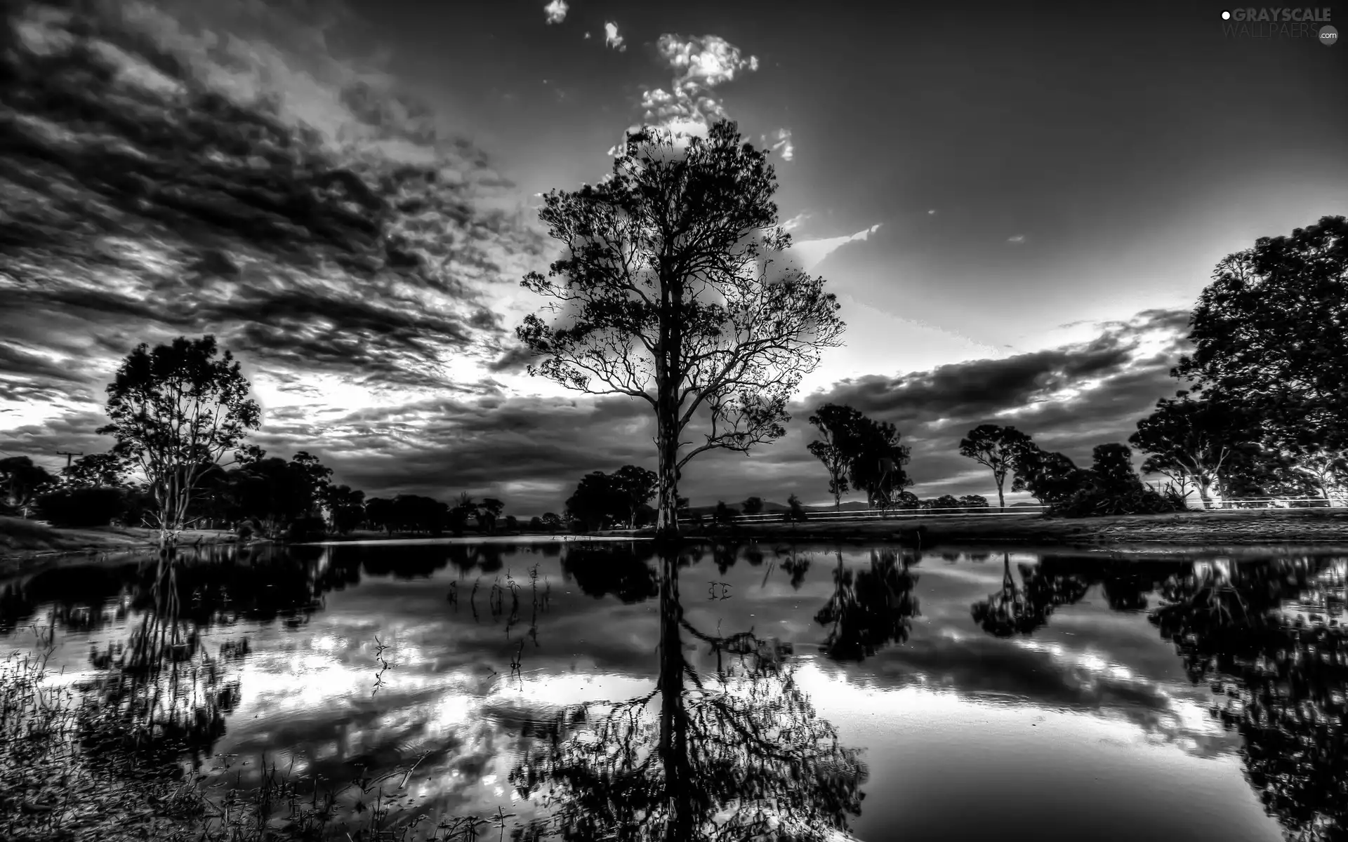 clouds, viewes, lake, trees