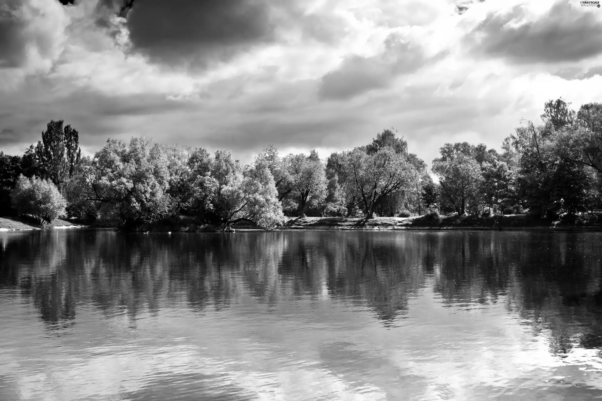 clouds, viewes, lake, trees