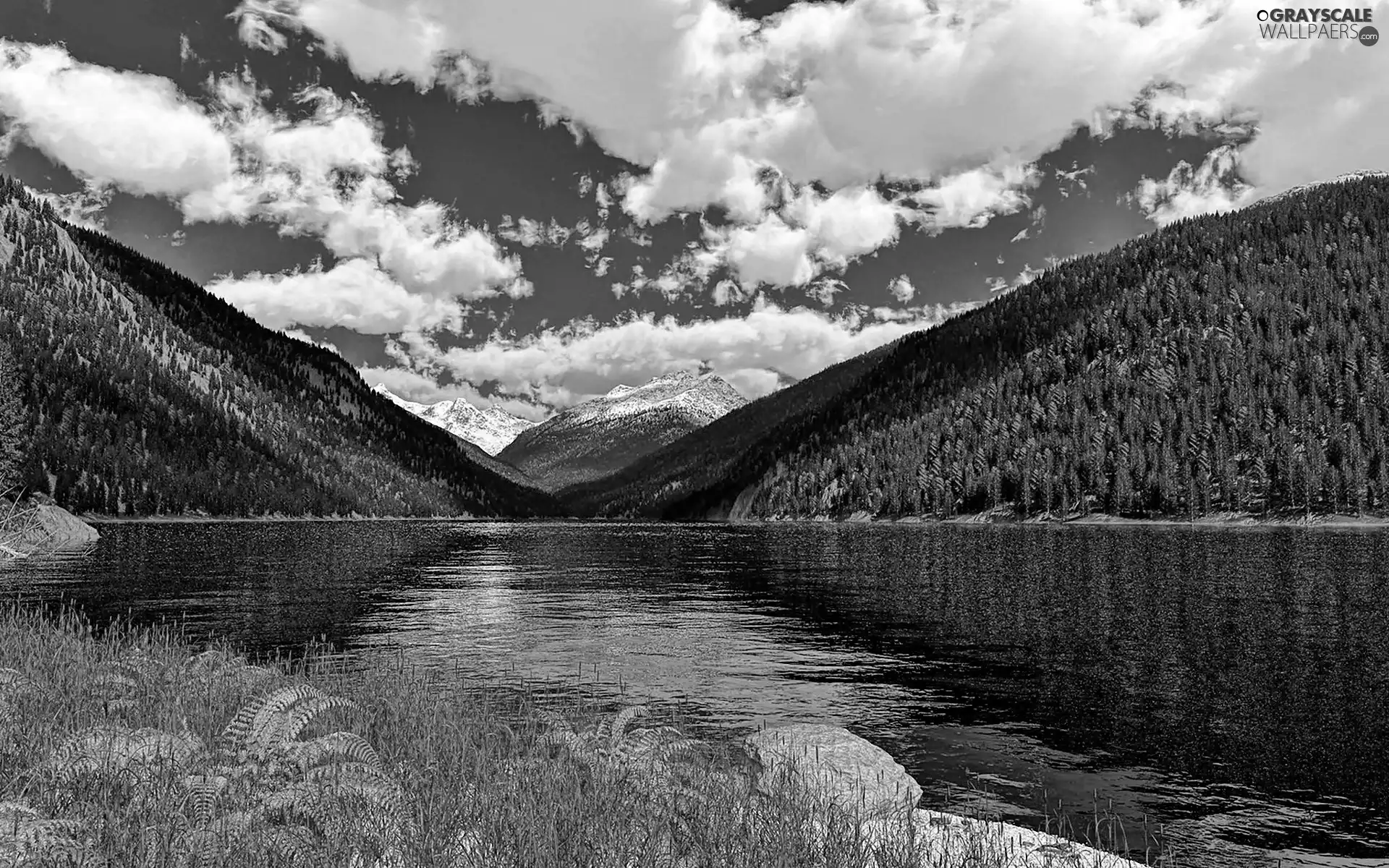 clouds, woods, lake, Mountains