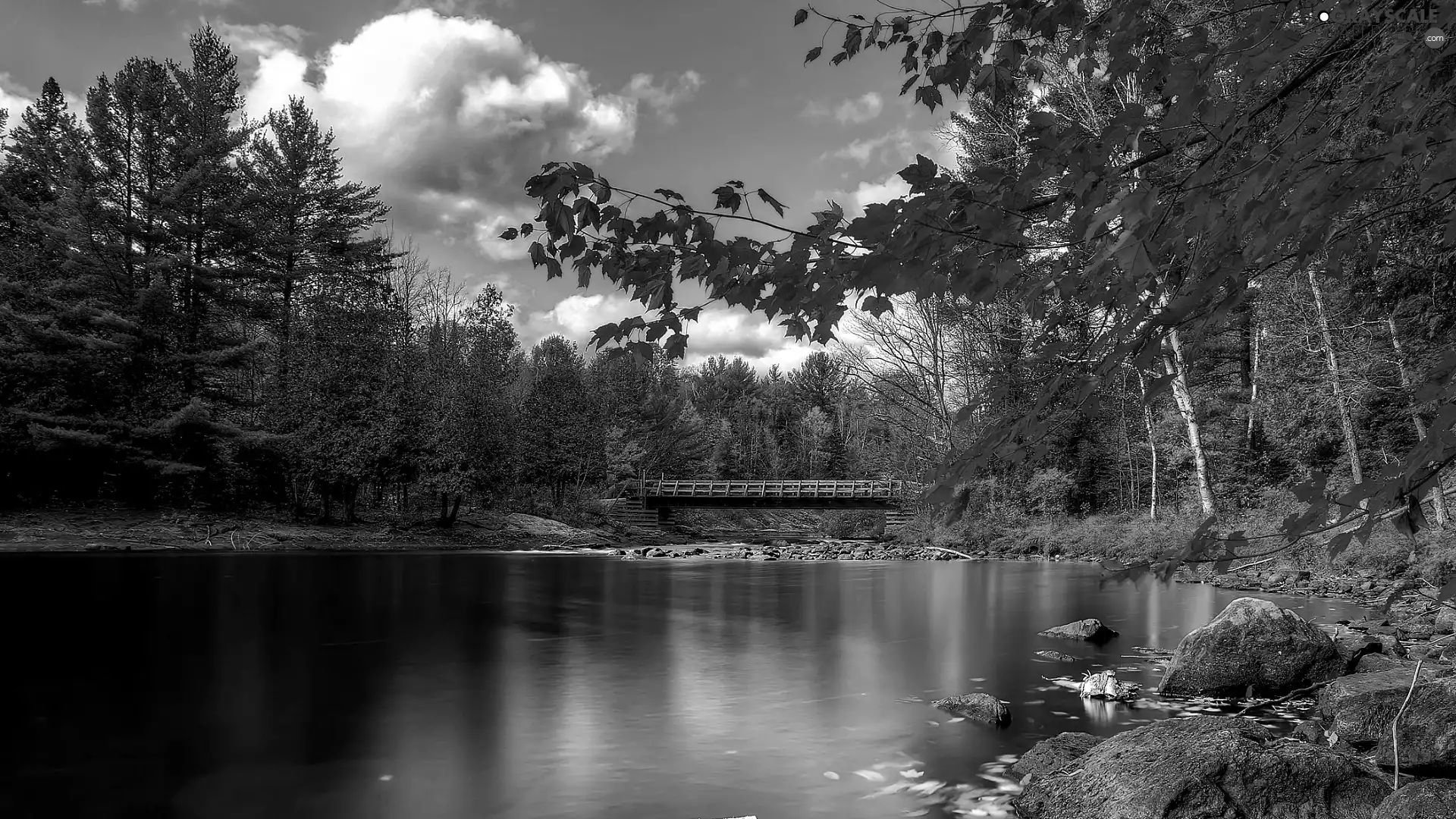 color, viewes, lake, trees