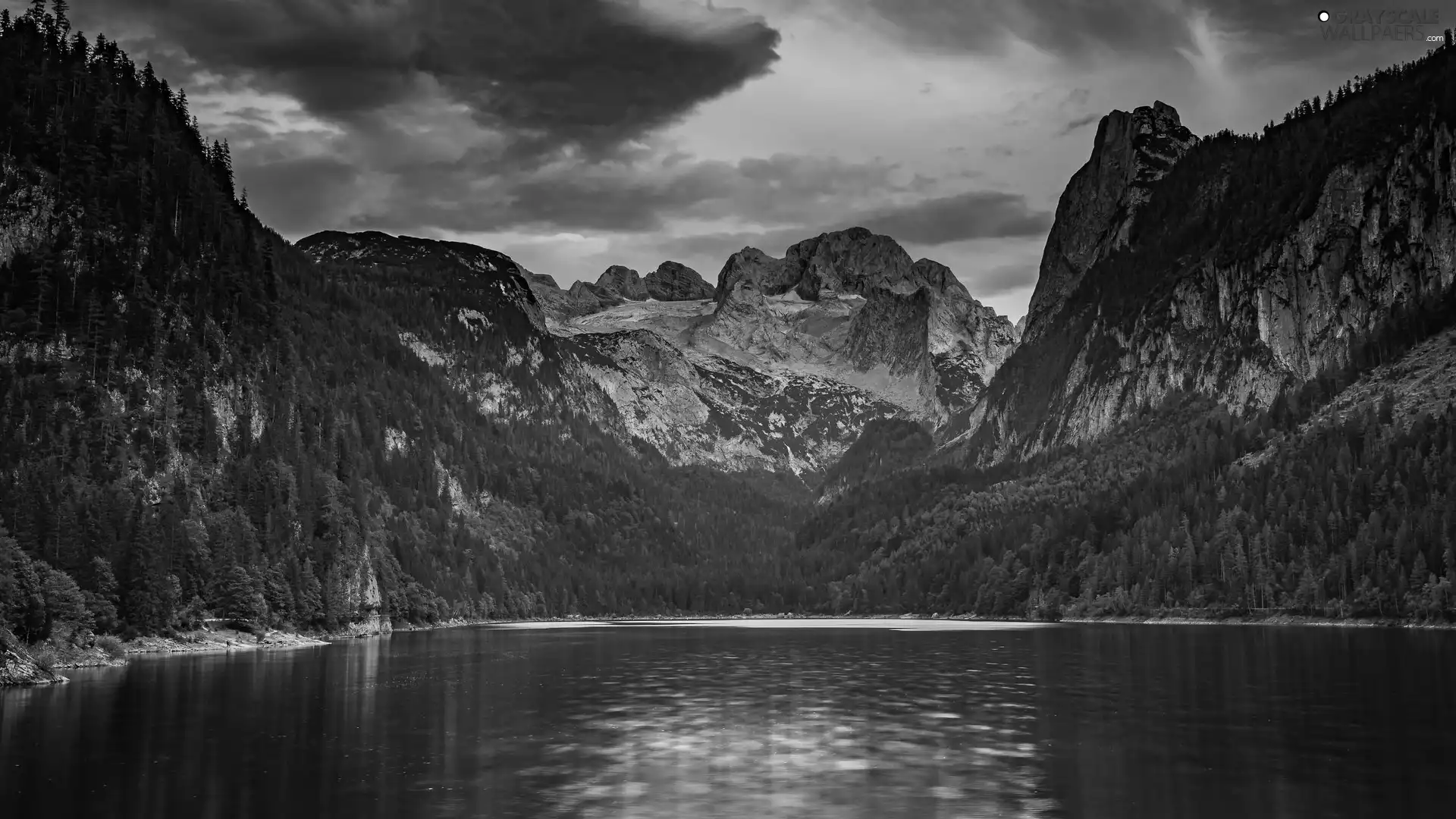 woods, trees, Austria, viewes, Gosau, Gosauseen Lake, Dachstein Mountains, Gmunden District
