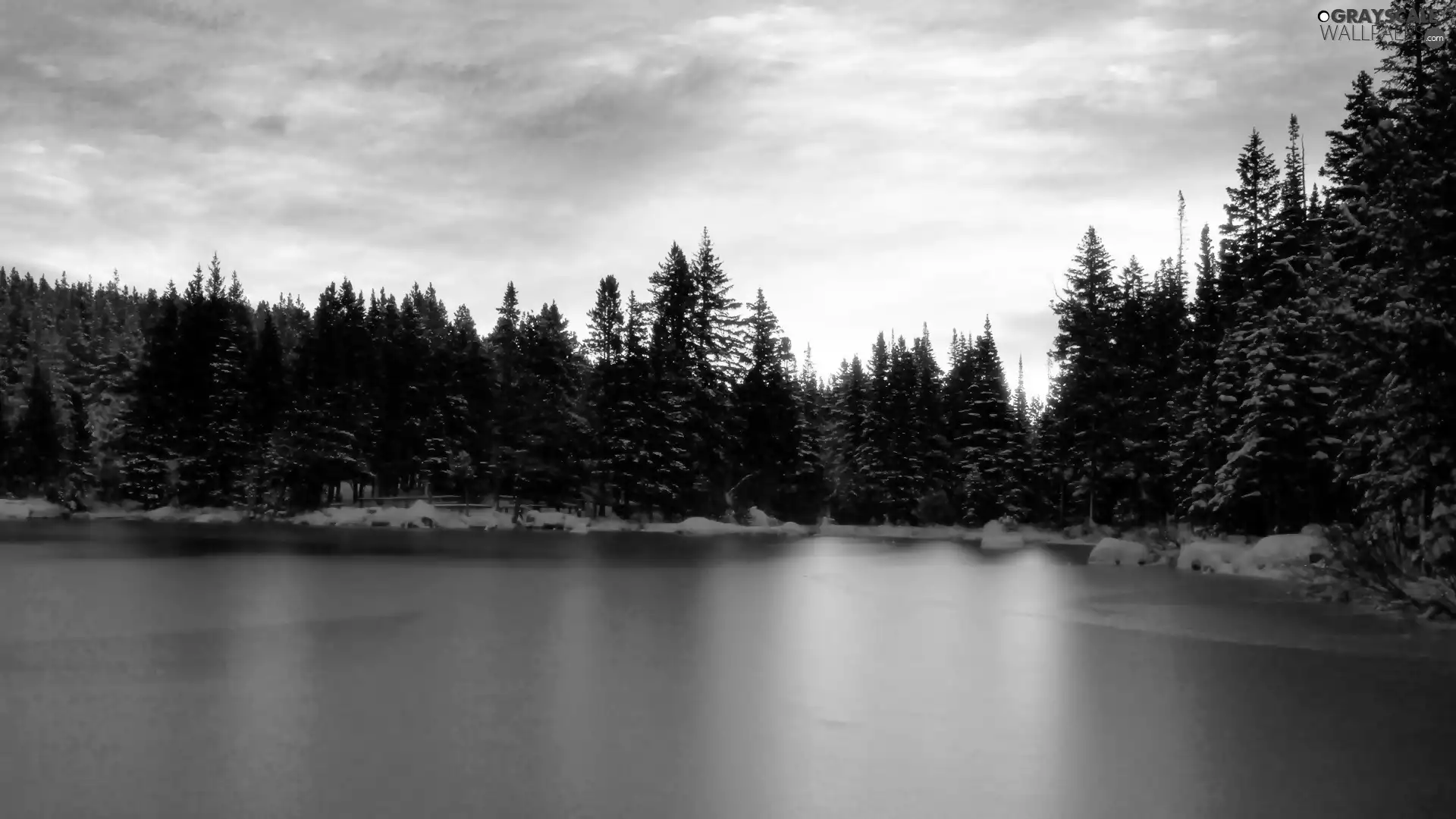 dawn, frozen, lake, forest