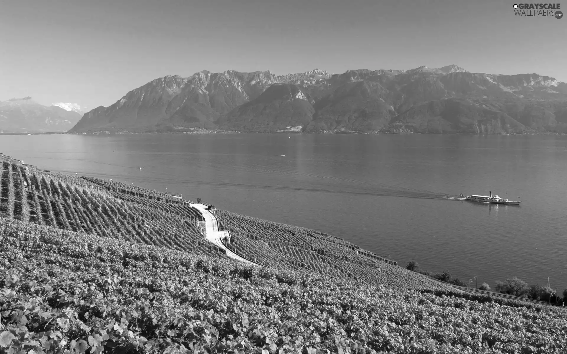 field, Mountains, lake, Farms