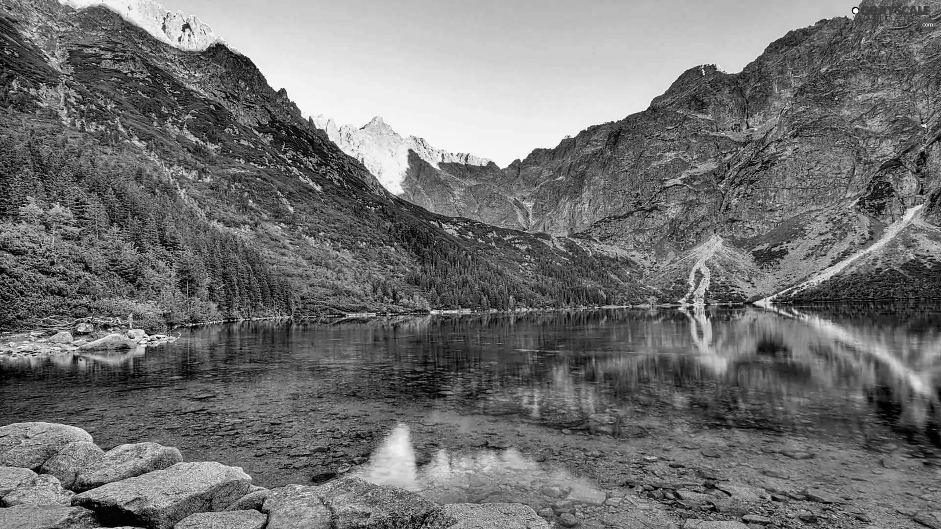 woods, Mountains, lake, ligh, shadow, reflection, flash, luminosity, sun