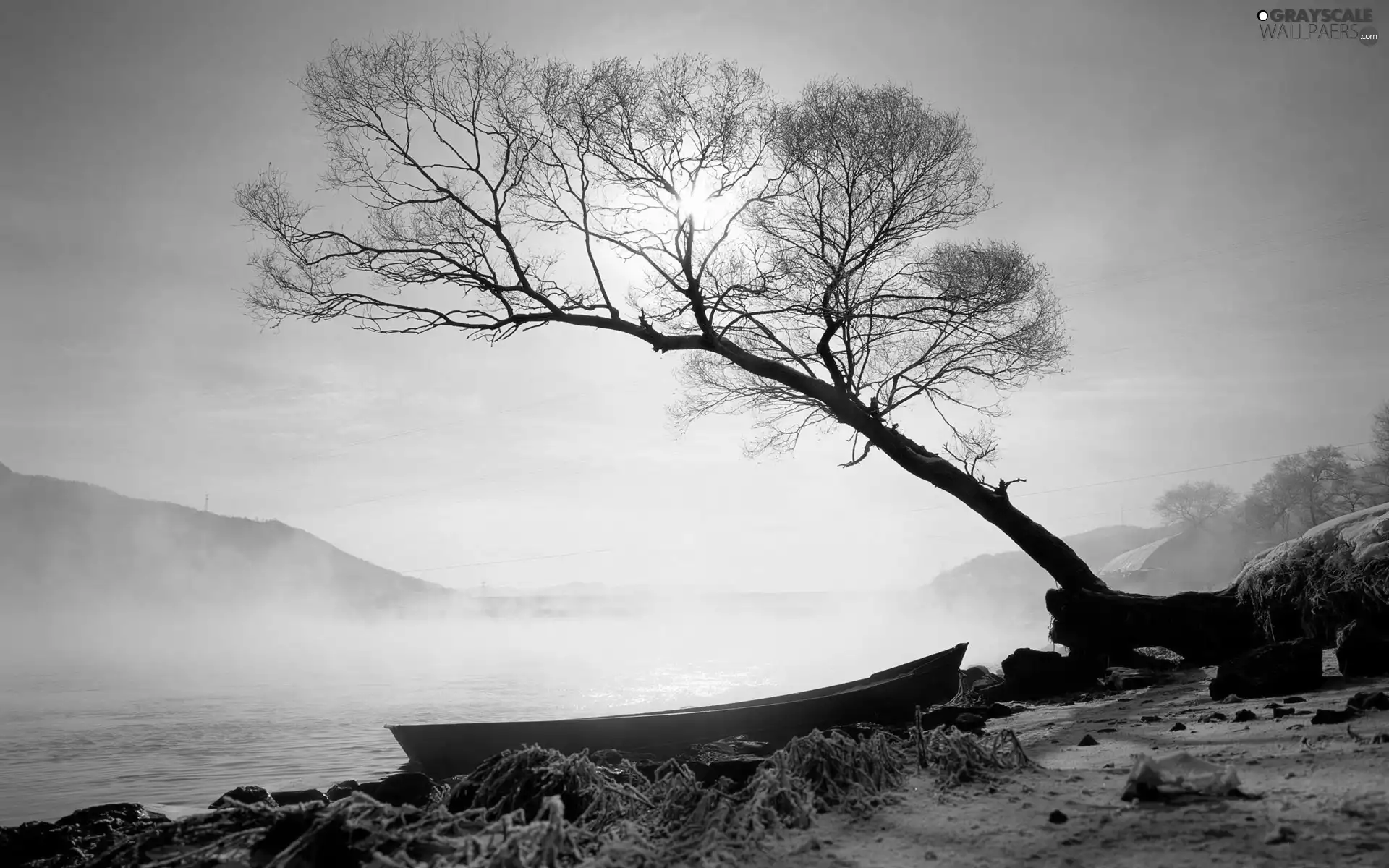 lake, Boat, Fog