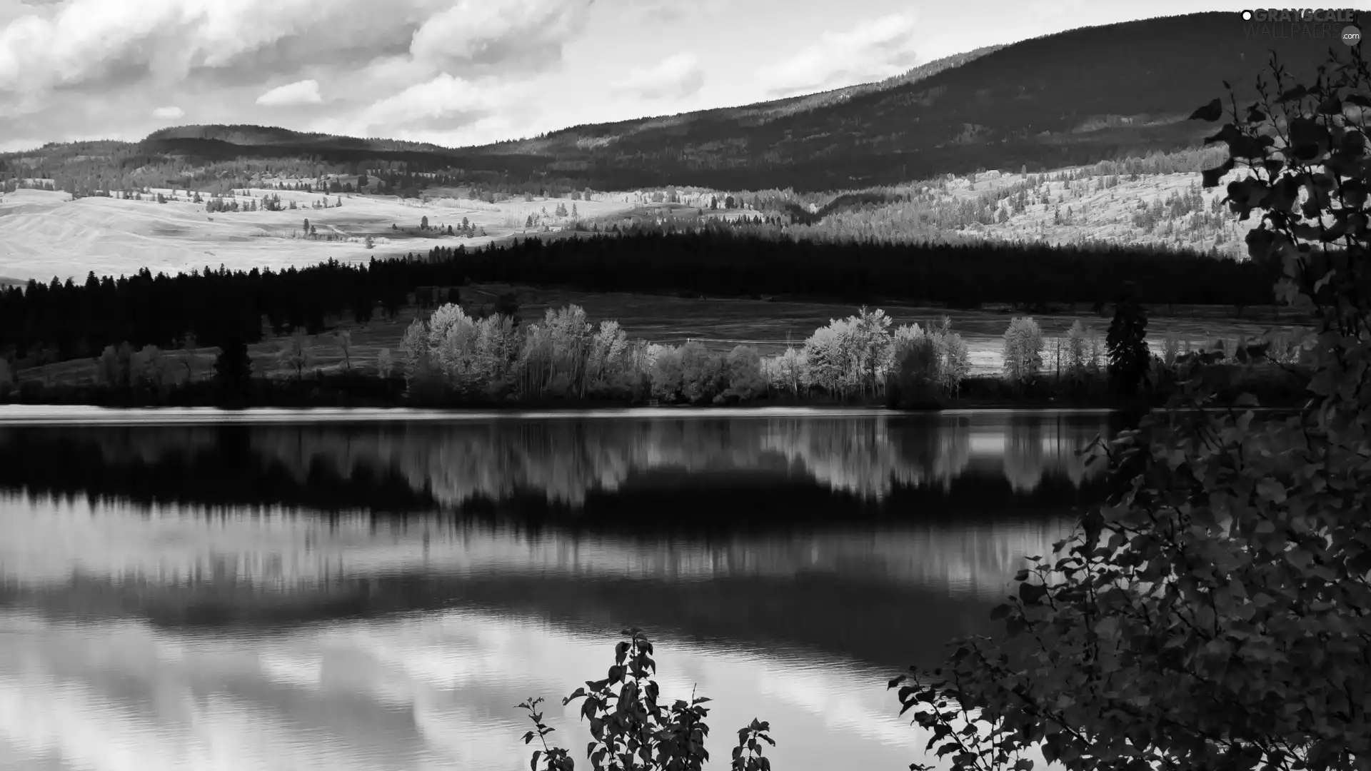 lake, Mountains, forest