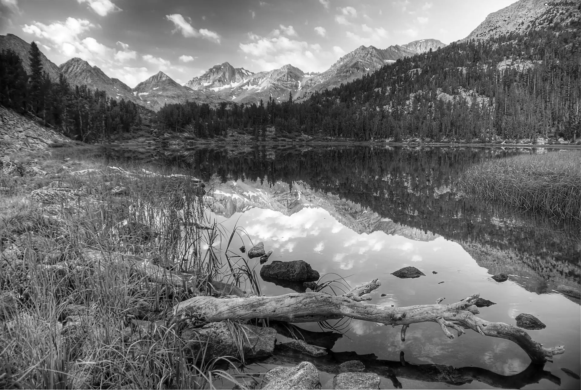 lake, Mountains, forest