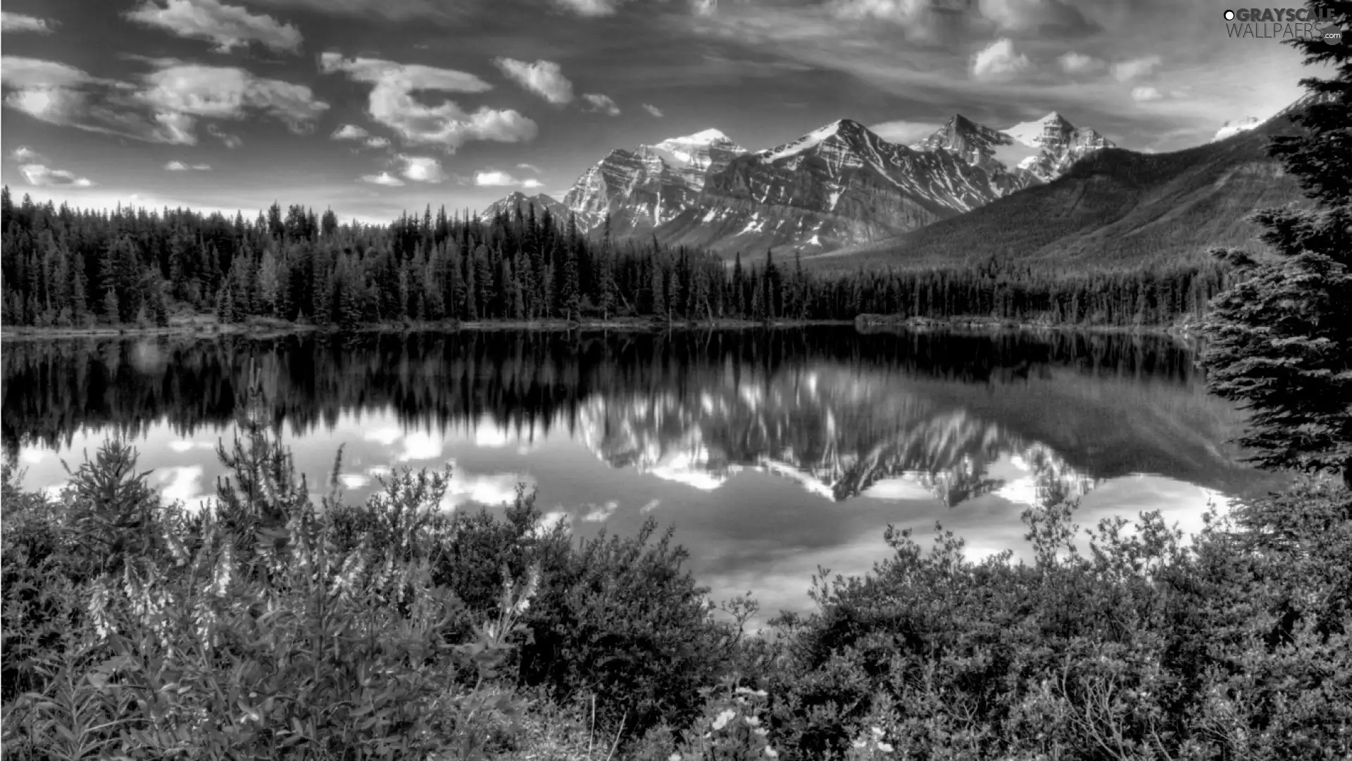 lake, Mountains, forest
