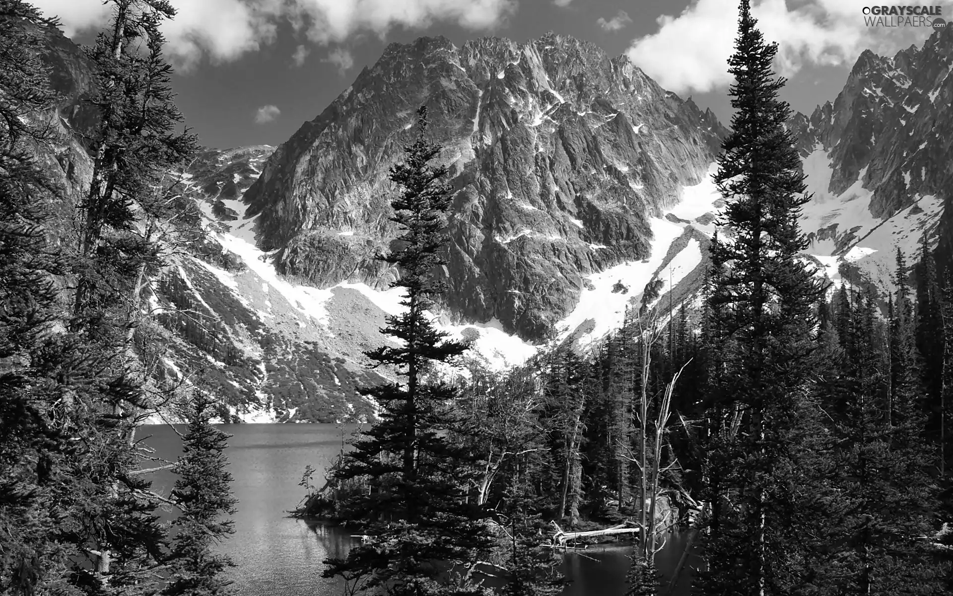 lake, Mountains, forest