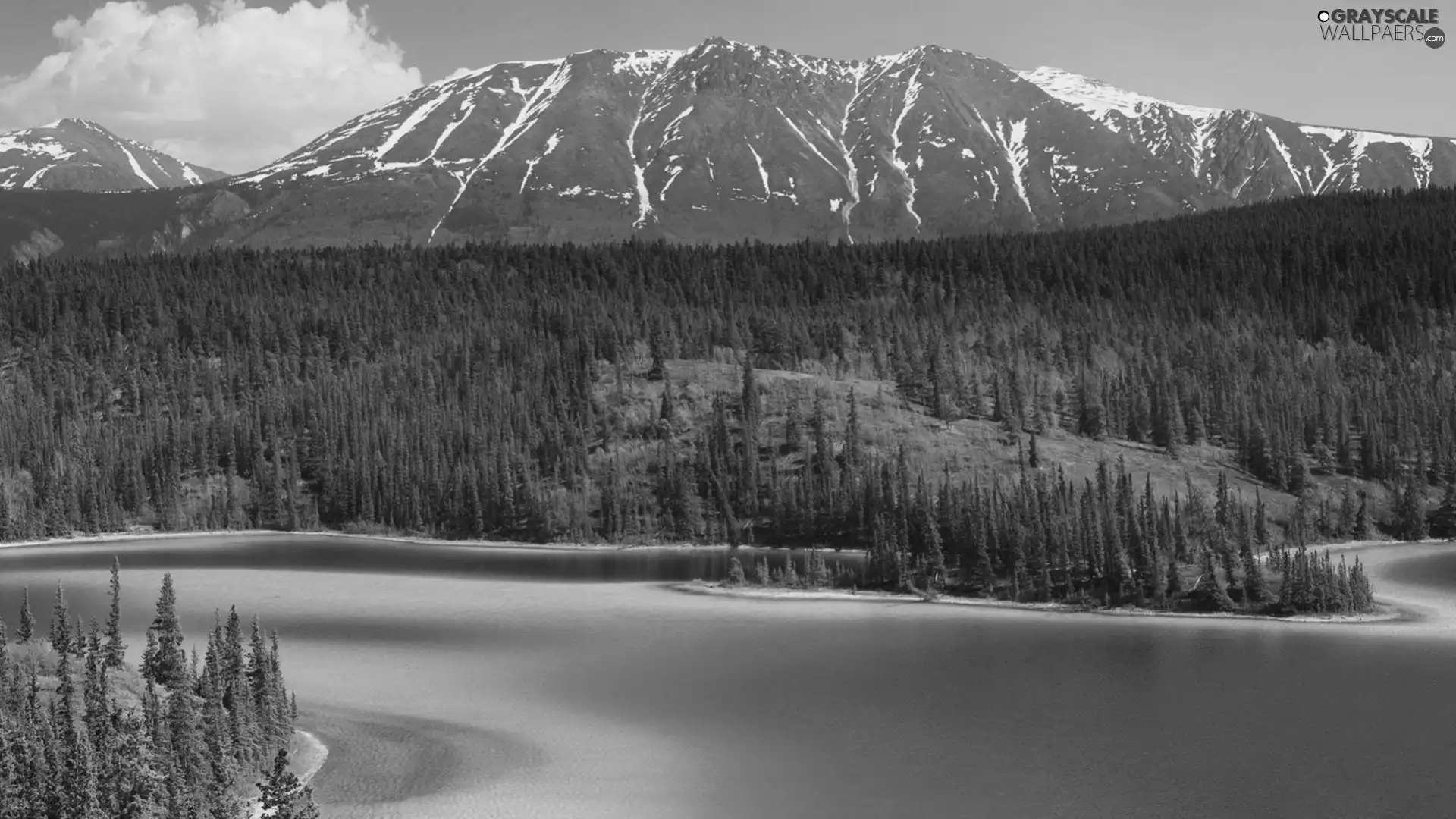 lake, Mountains, forest