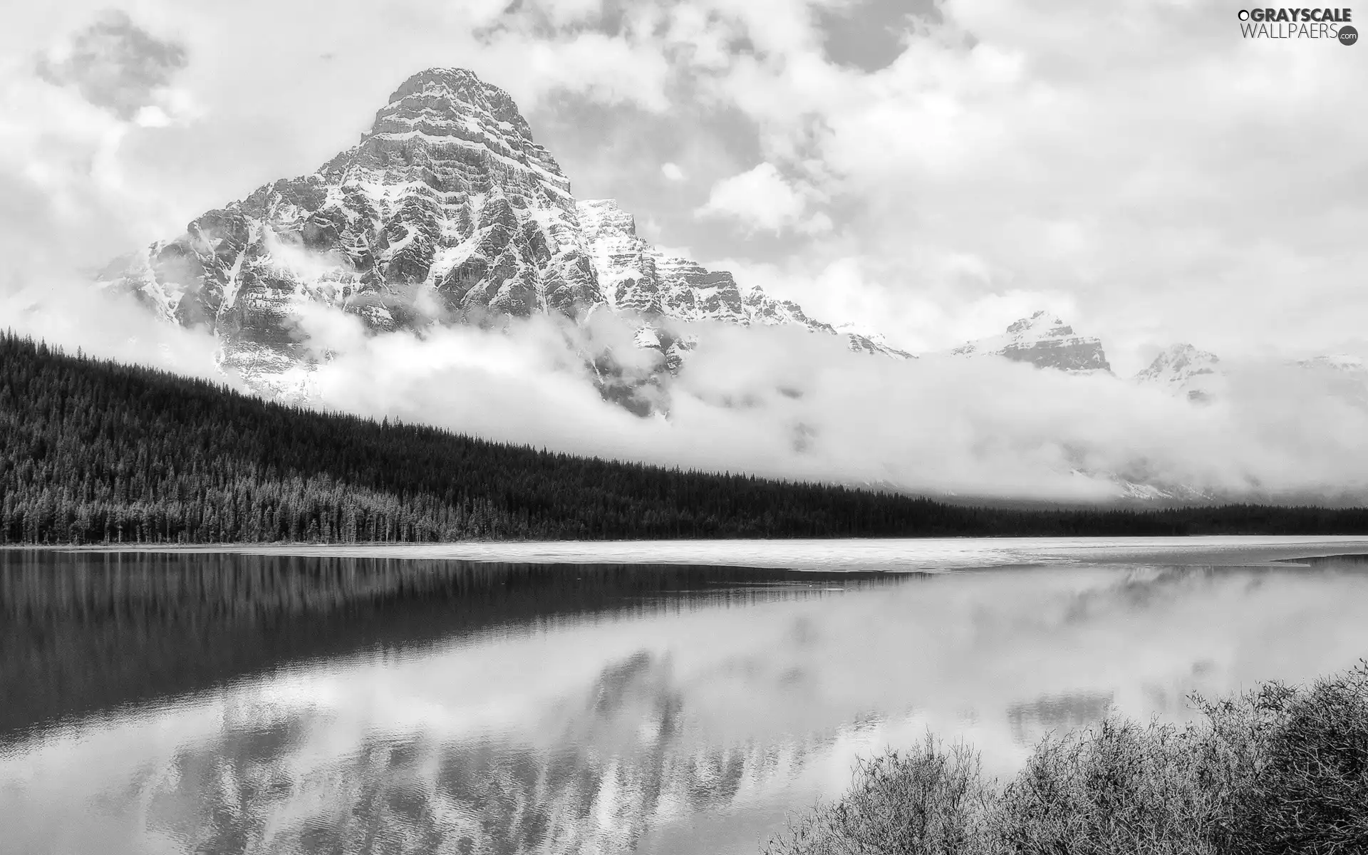 lake, forest, height, snow, mountains