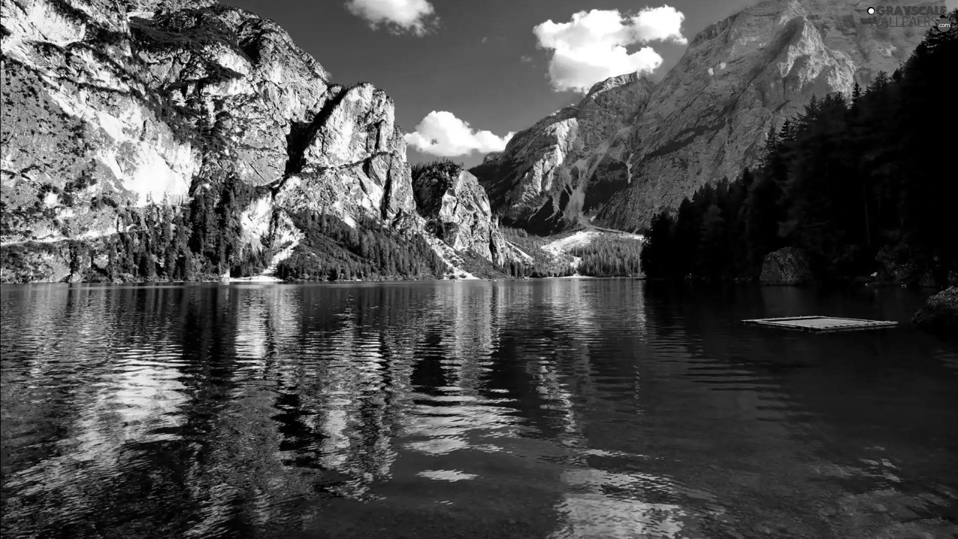 lake, rocks, forest