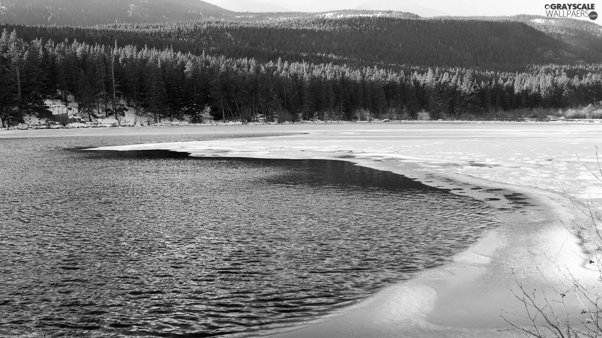forest, snow, lake, Icecream