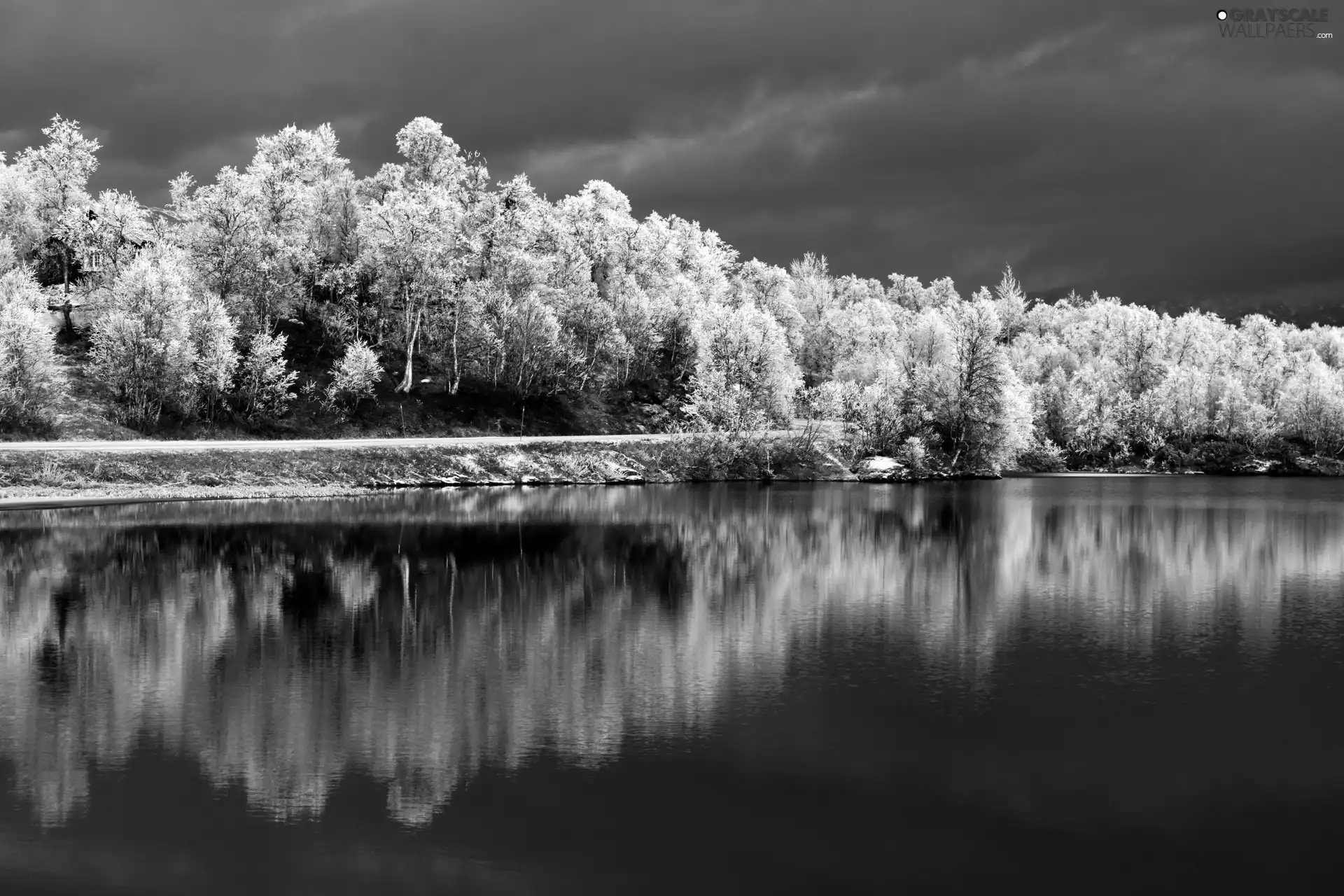 frosty, viewes, lake, trees